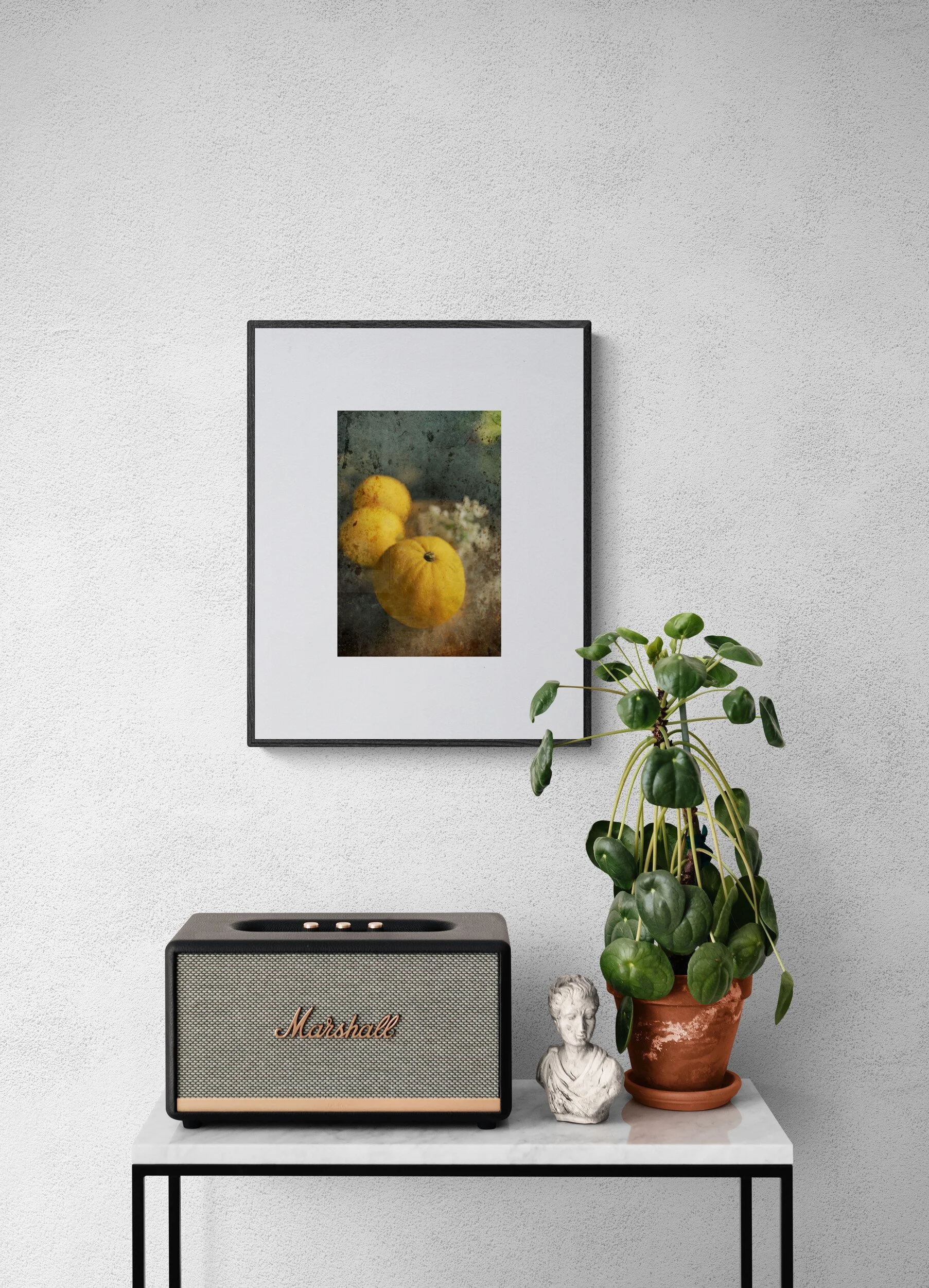 console-table-with-a-speaker-and-potted-plant (2).jpg