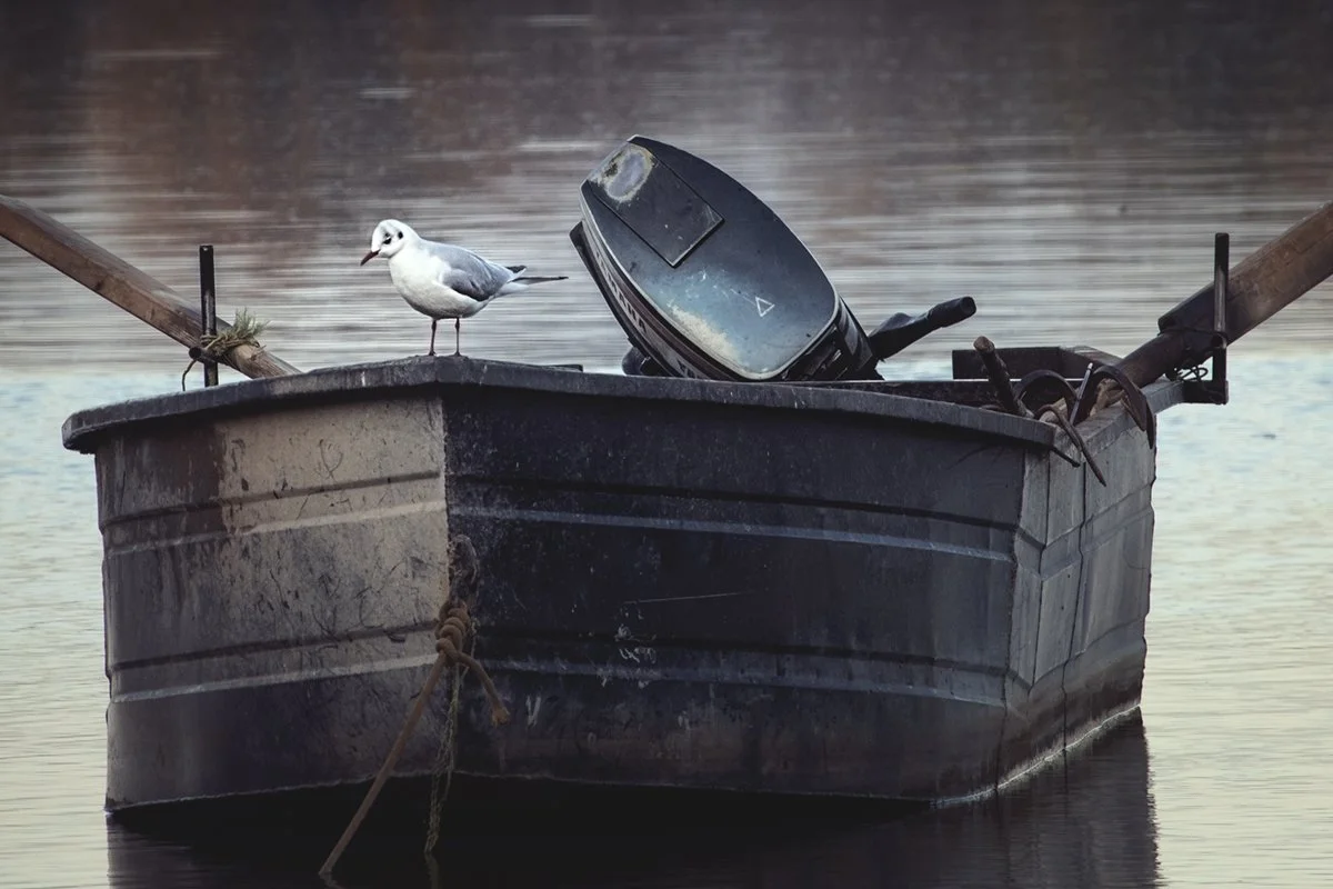 Poulaki sti vatrka 2 96dpi IMG_8561-1.jpg