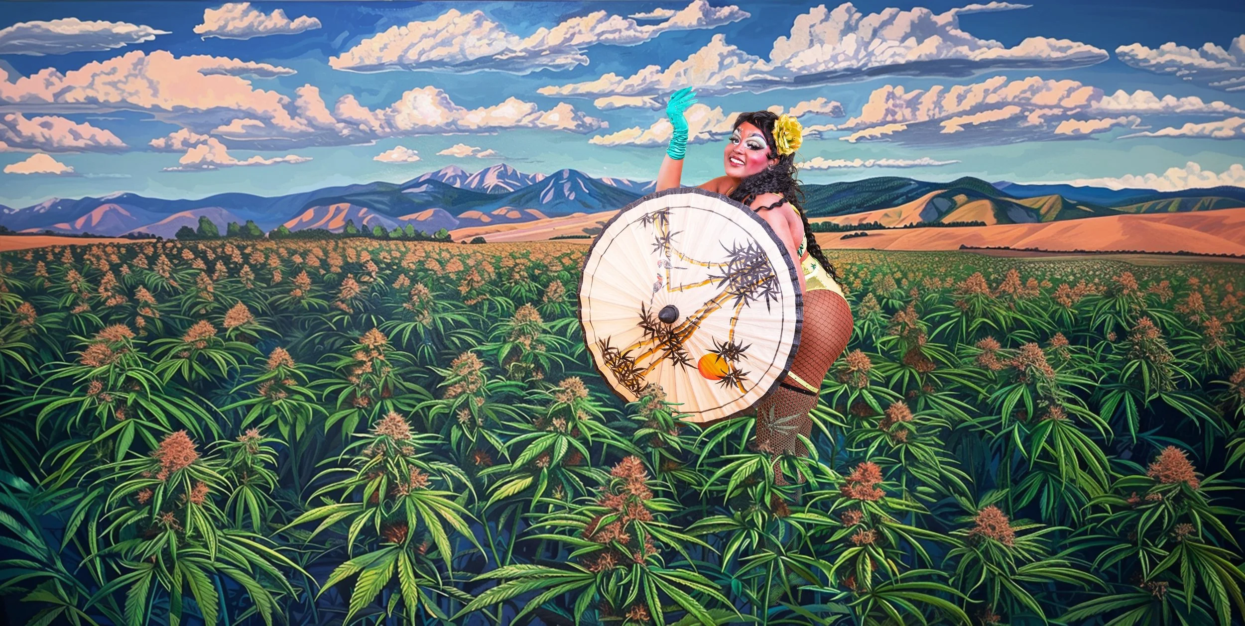 Coco marijuana field web size.jpg