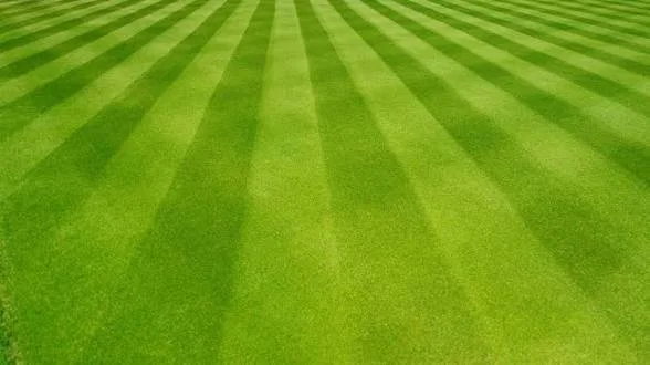 Lawn Mowing