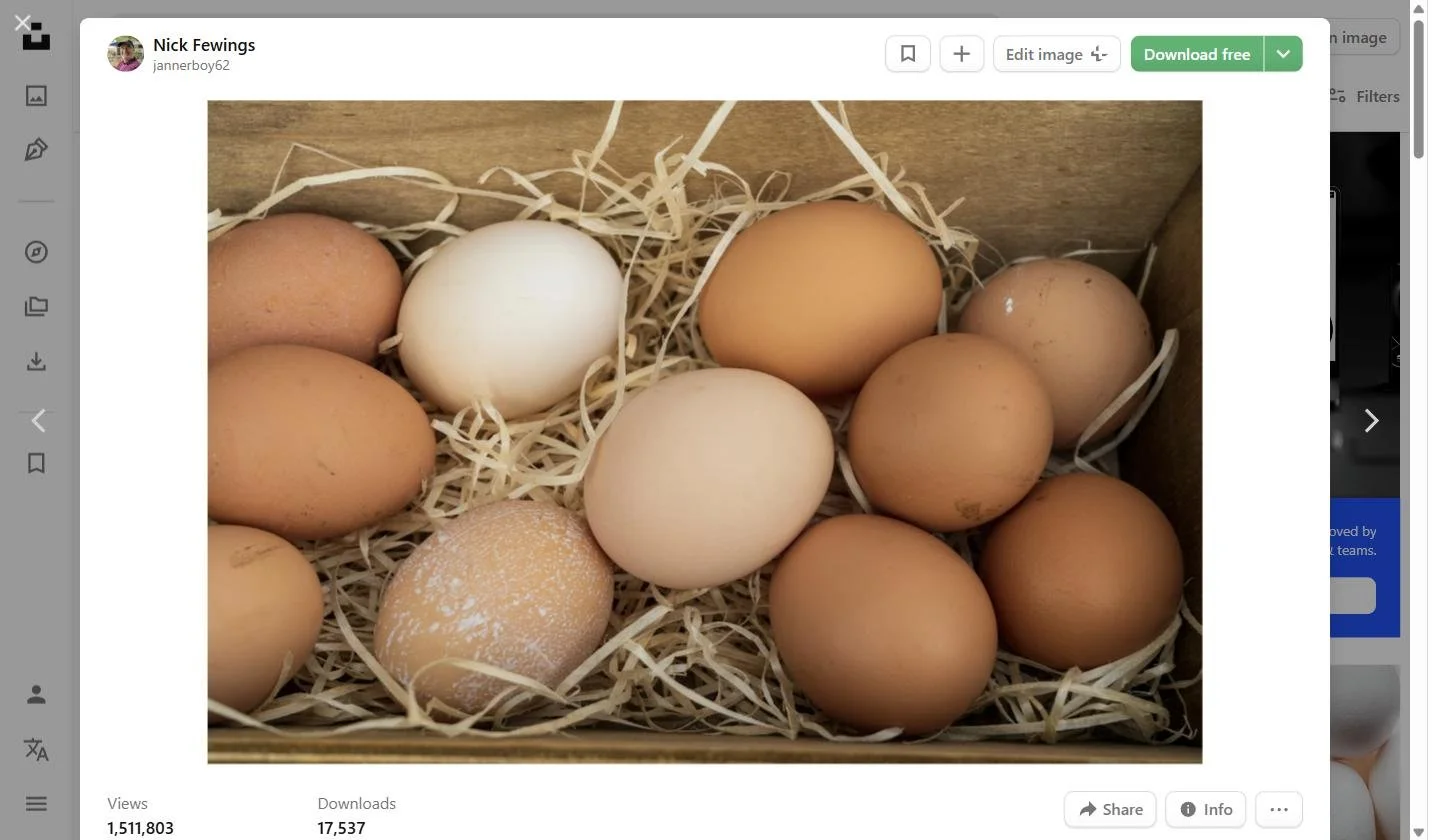 farm-fresh-organic-eggs.jpg