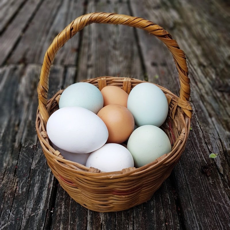 farm-fresh-organic-eggs.jpg