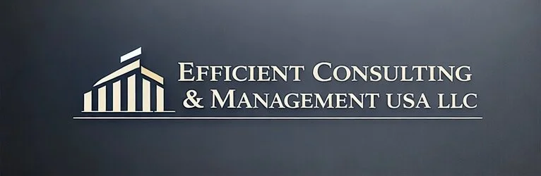 Efficient Consulting &amp; Management USA