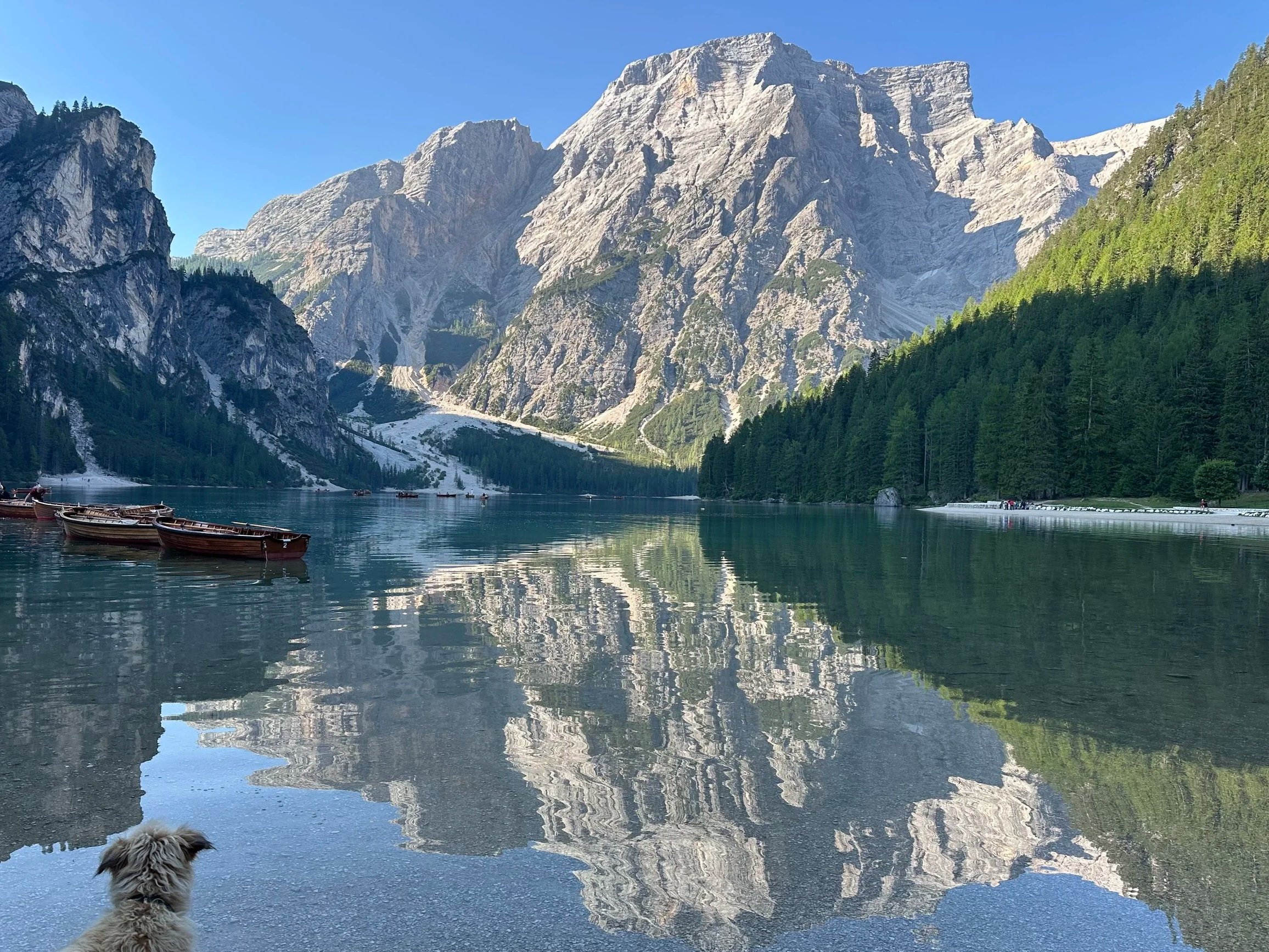 Ein Foto von Nora Steiner fotografiert