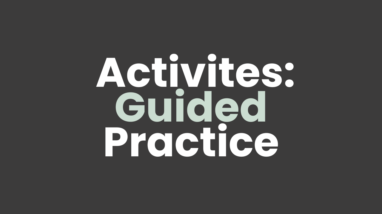 Lesson Activities / Guided Practice
