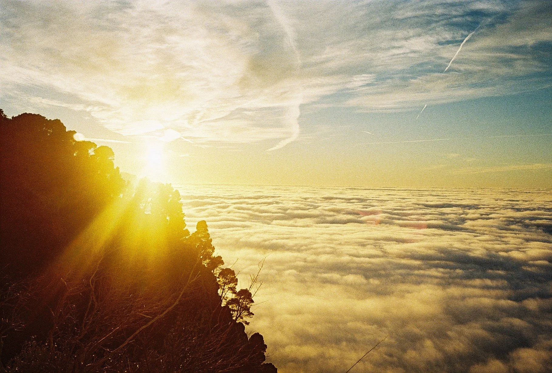 Irose 015 (Ultramax 400) 33.JPG