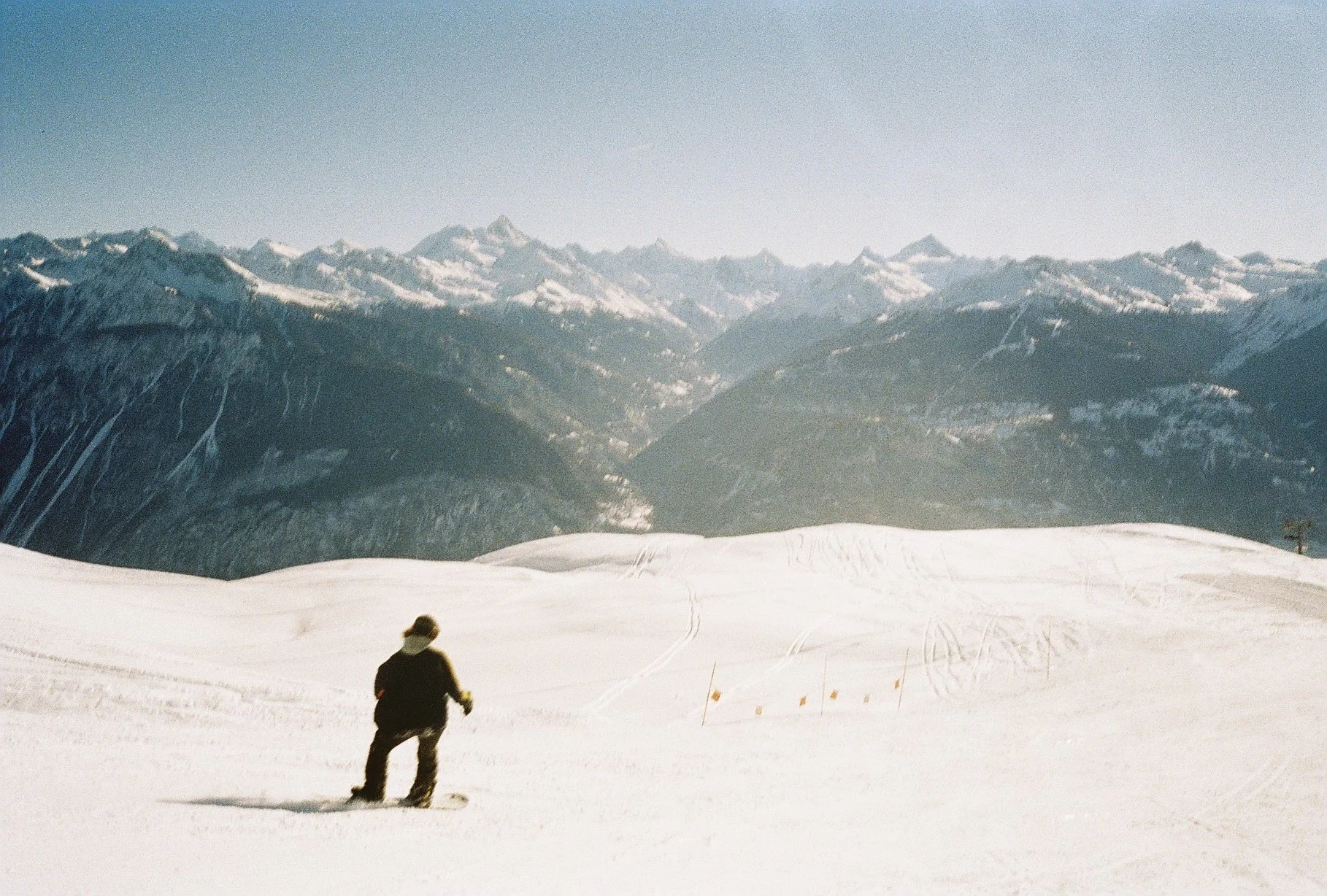 Irose 015 (Ultramax 400) 11.JPG