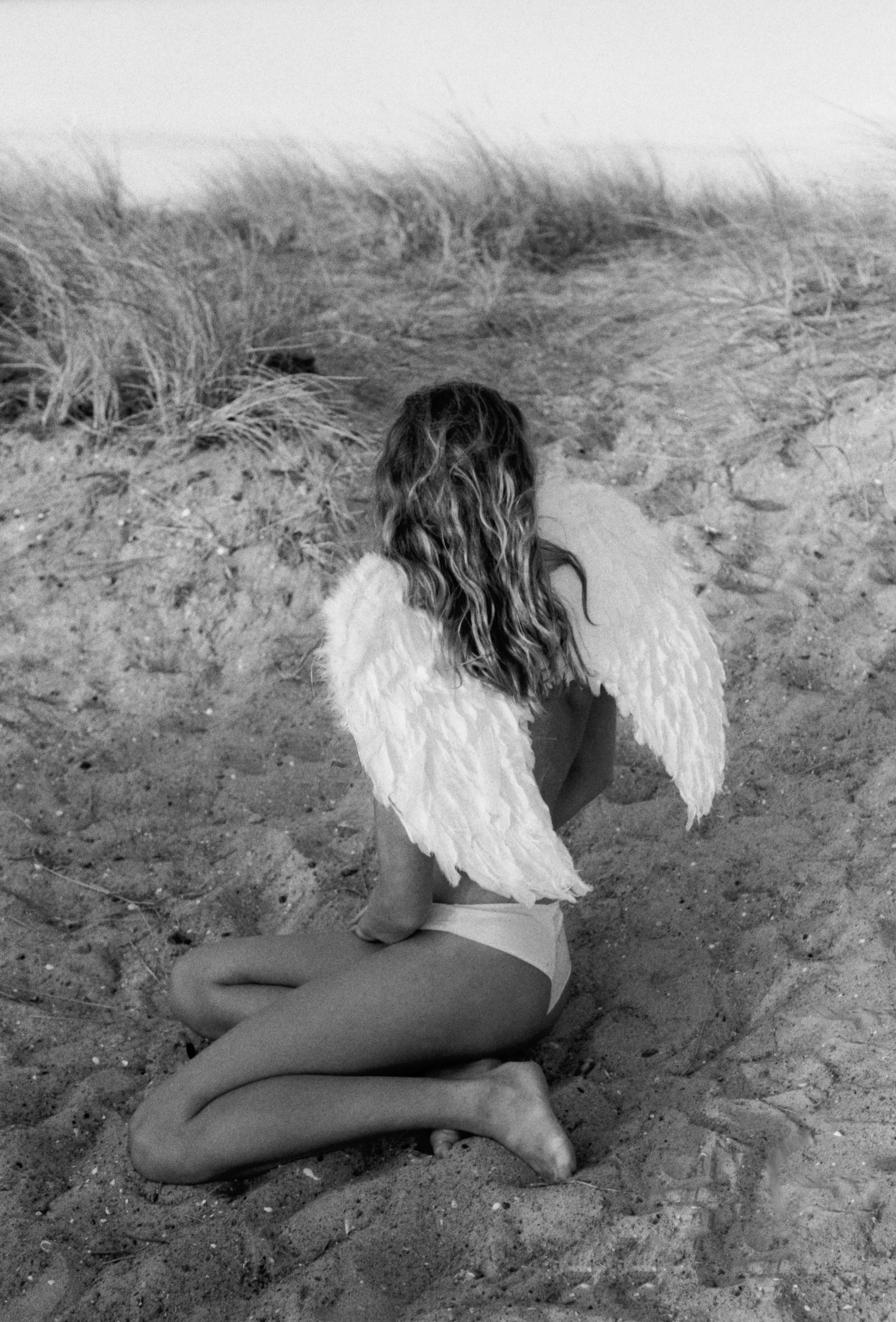 bella wings gift.jpg