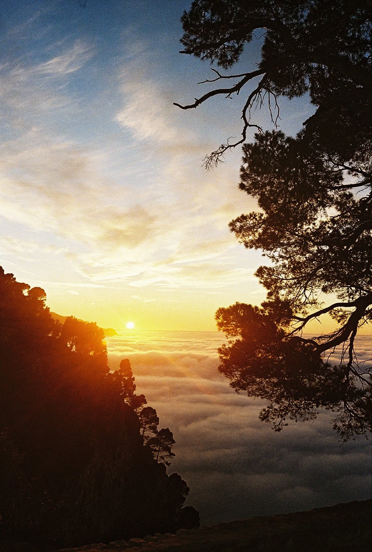 Irose 015 (Ultramax 400) 36.JPG