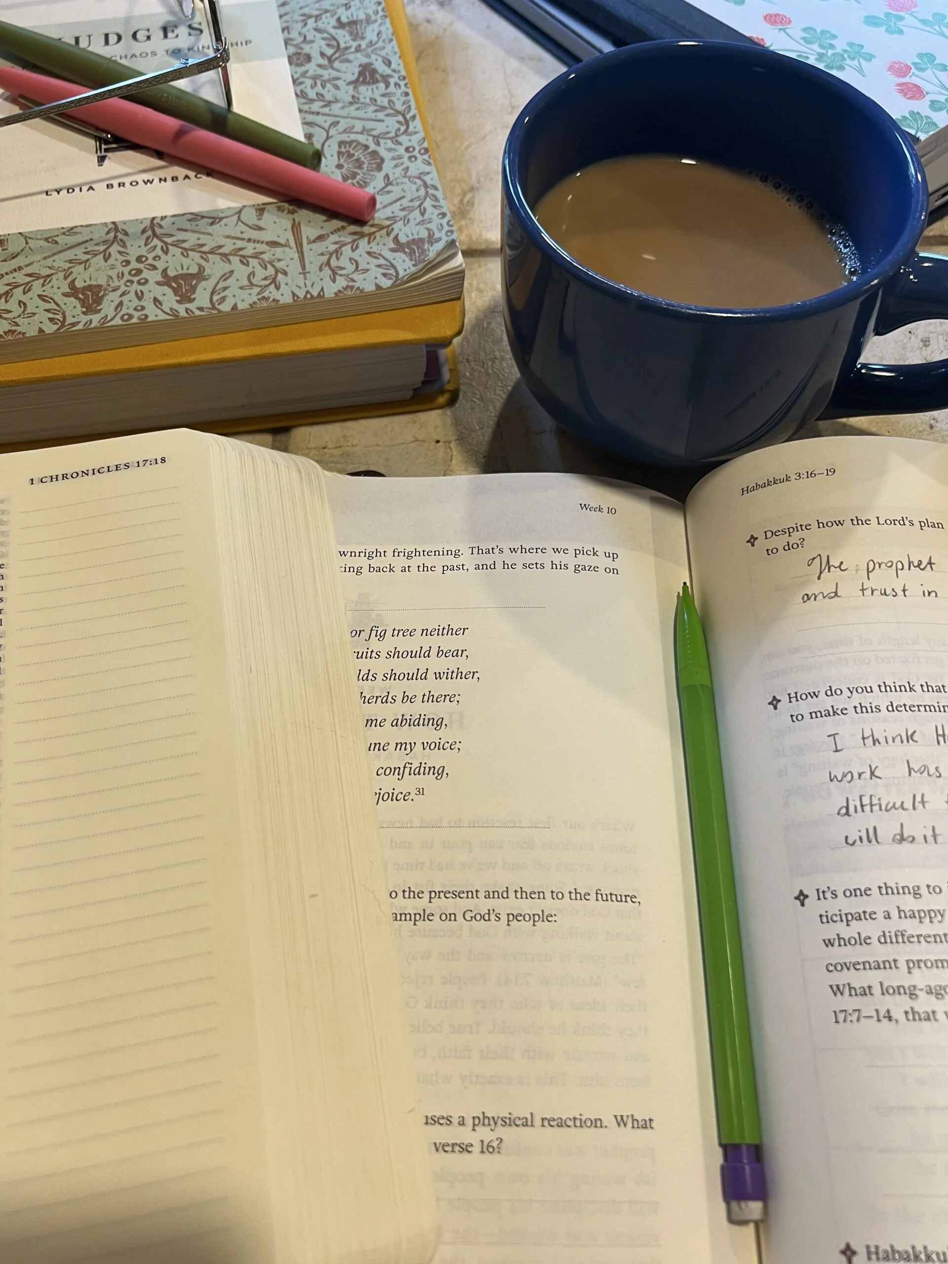 Flourish Bible Studies