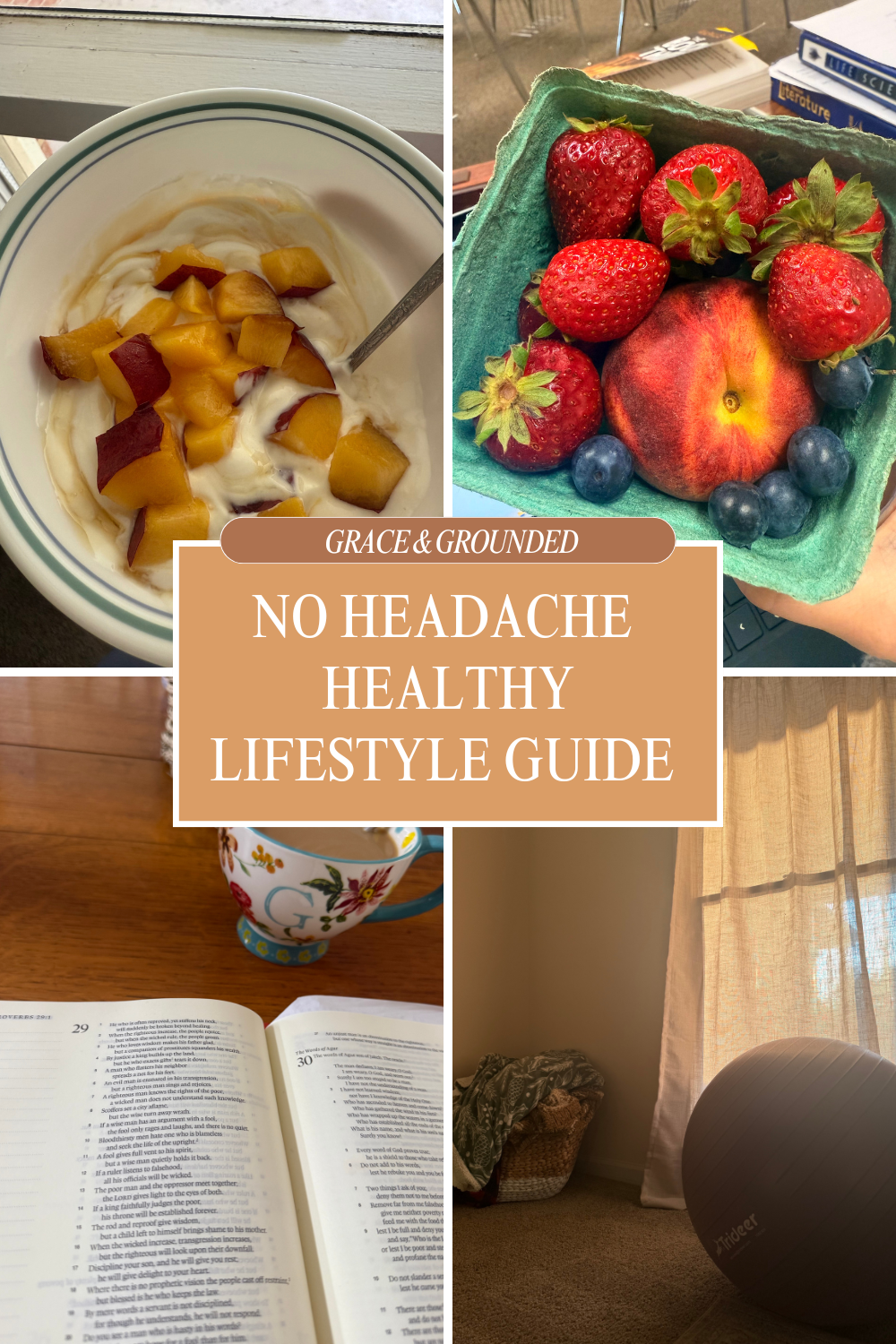 Freebie- Healthy Lifestyle Guide