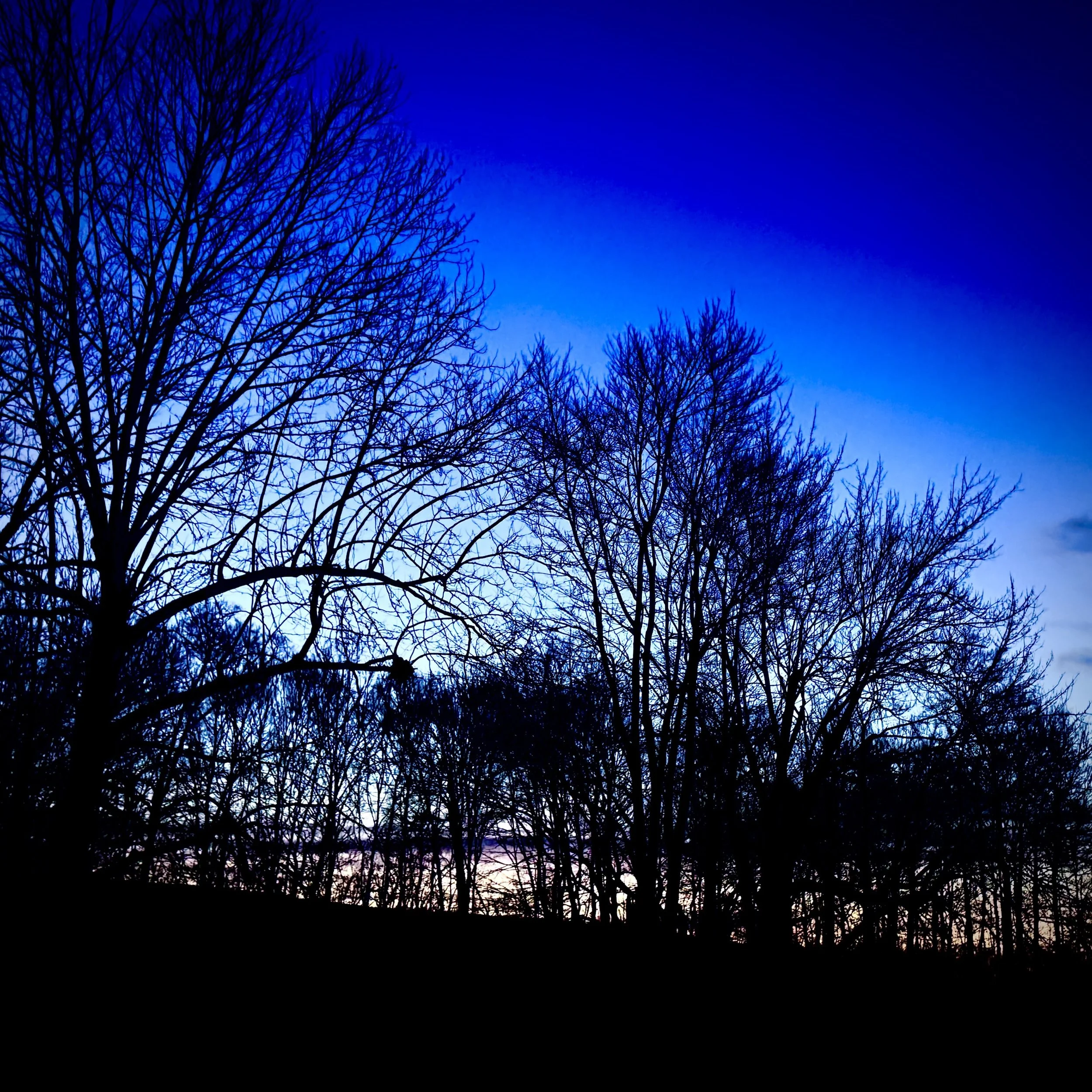 “Where were You?”