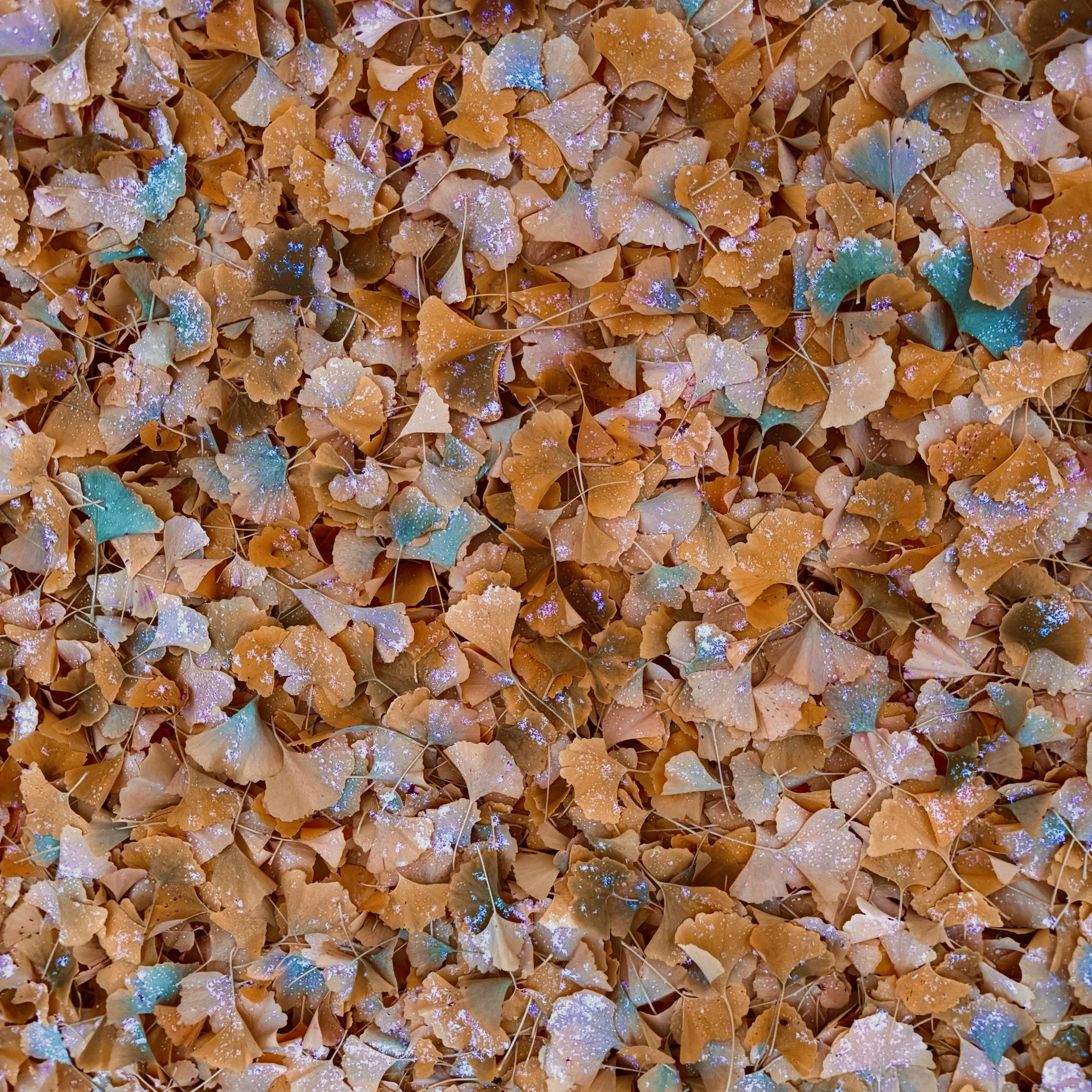 Forgiving is a Prayer