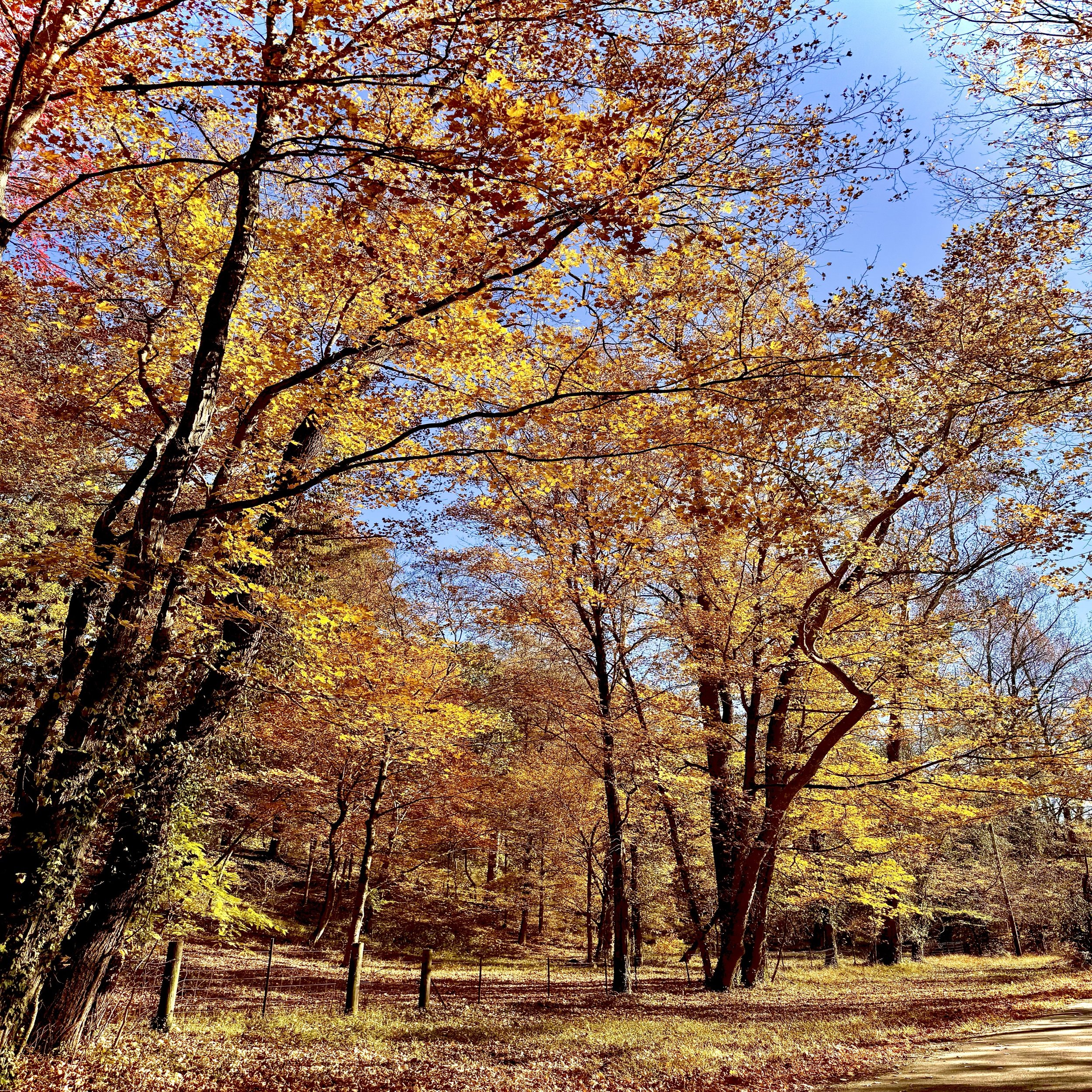 Envisioning the Unimaginable