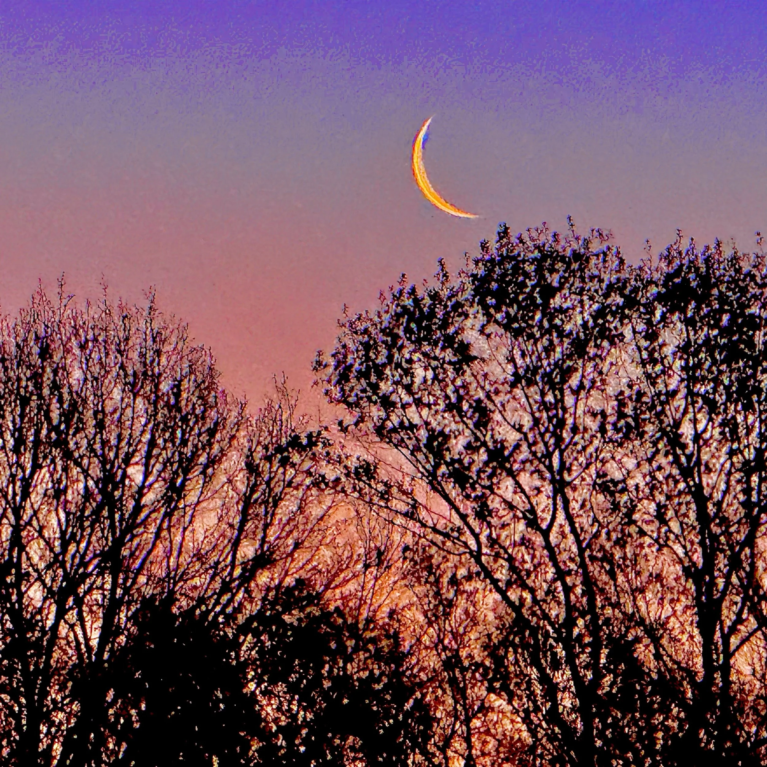 The Opposite of Humility