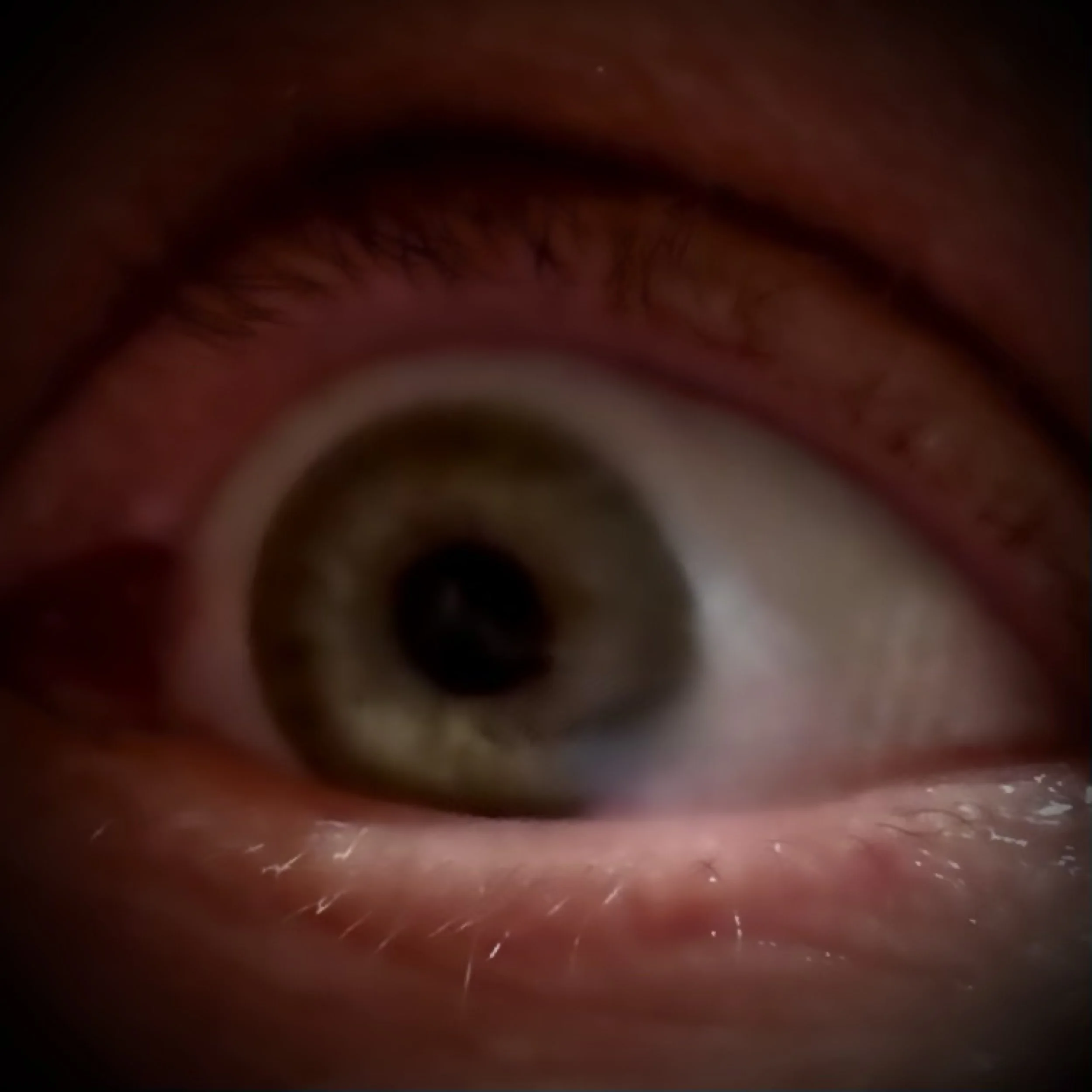 Are you Mr. Wooden-beam-in-your-eye ?