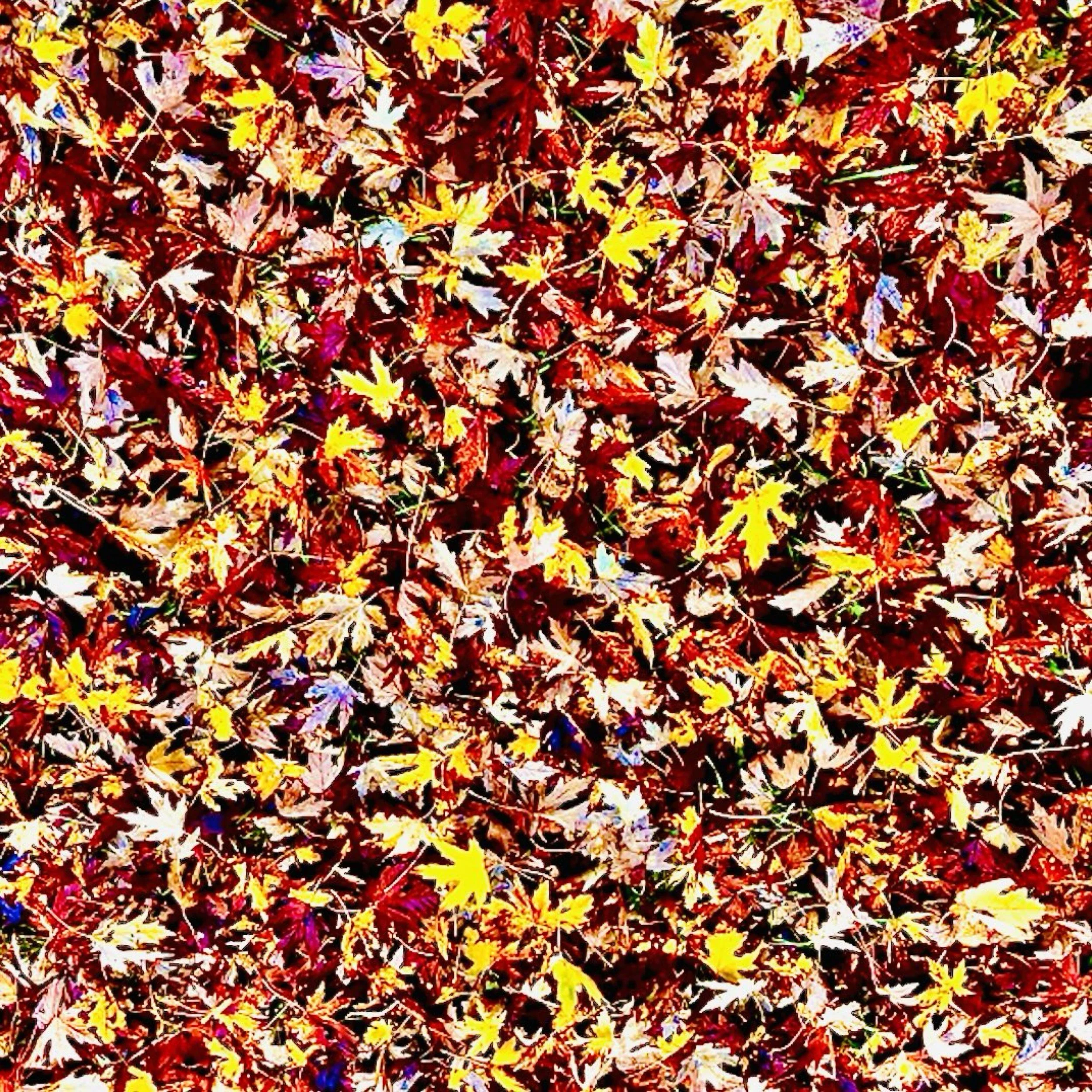 Impediments to Spirituality