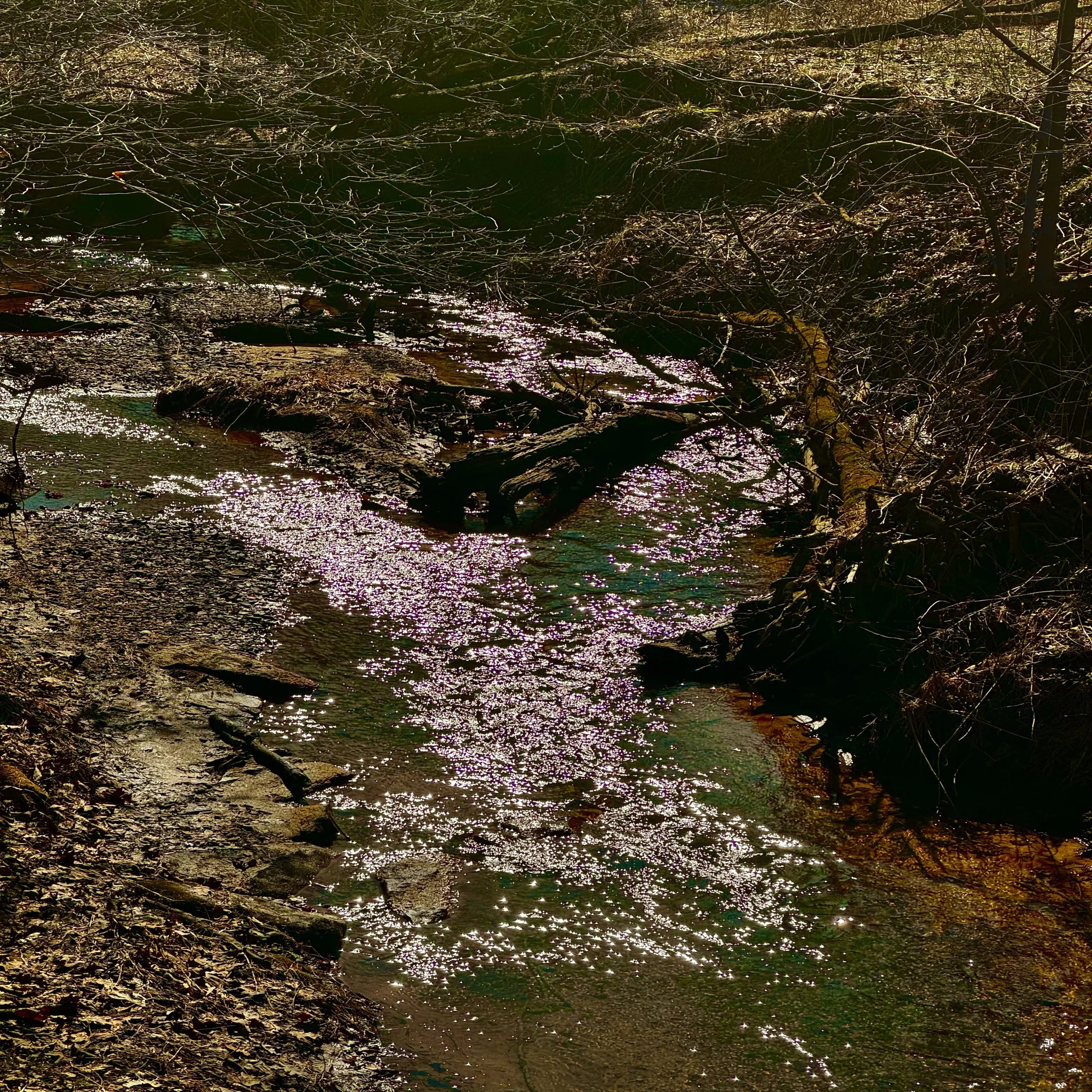 Living Water