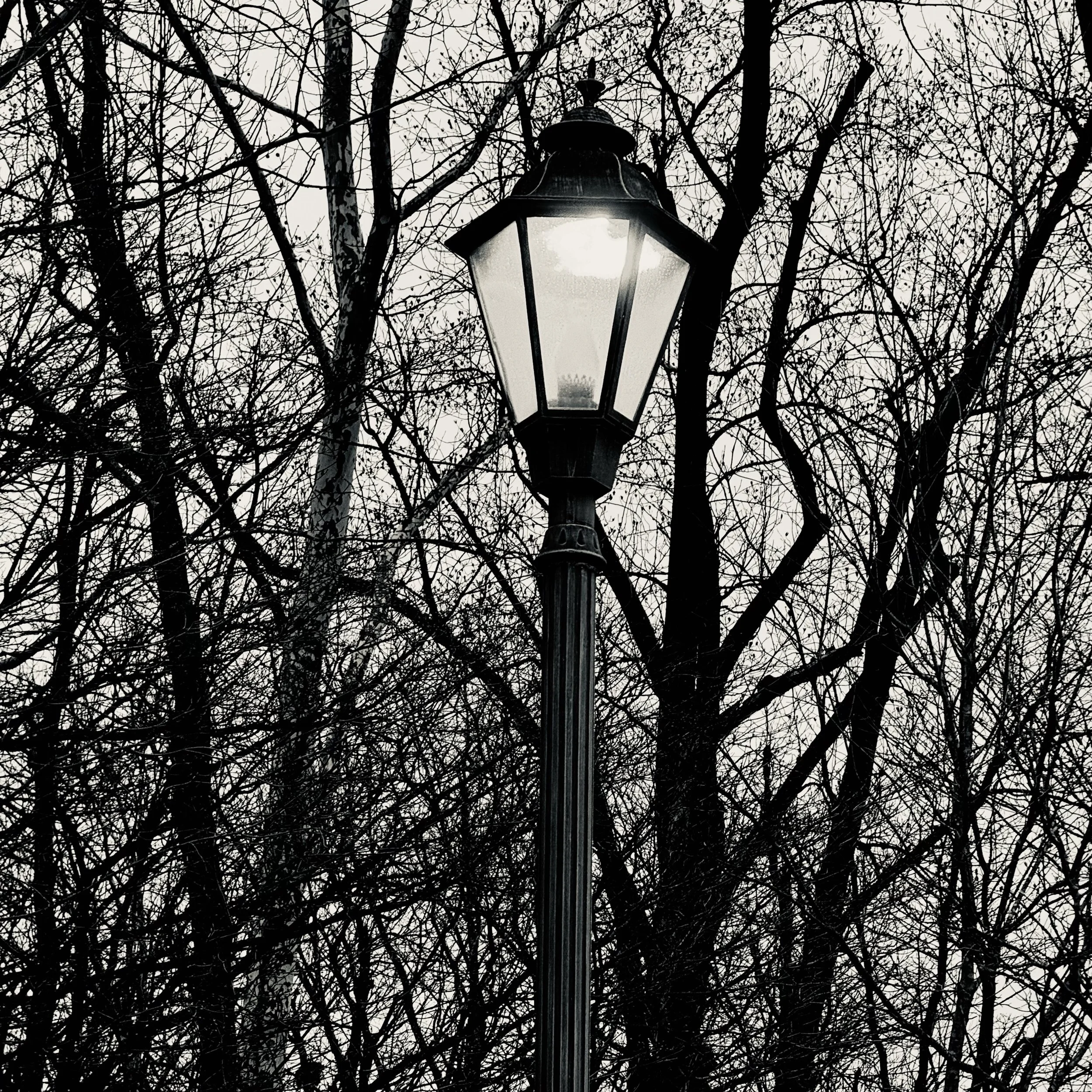 Beatific Vision Realized