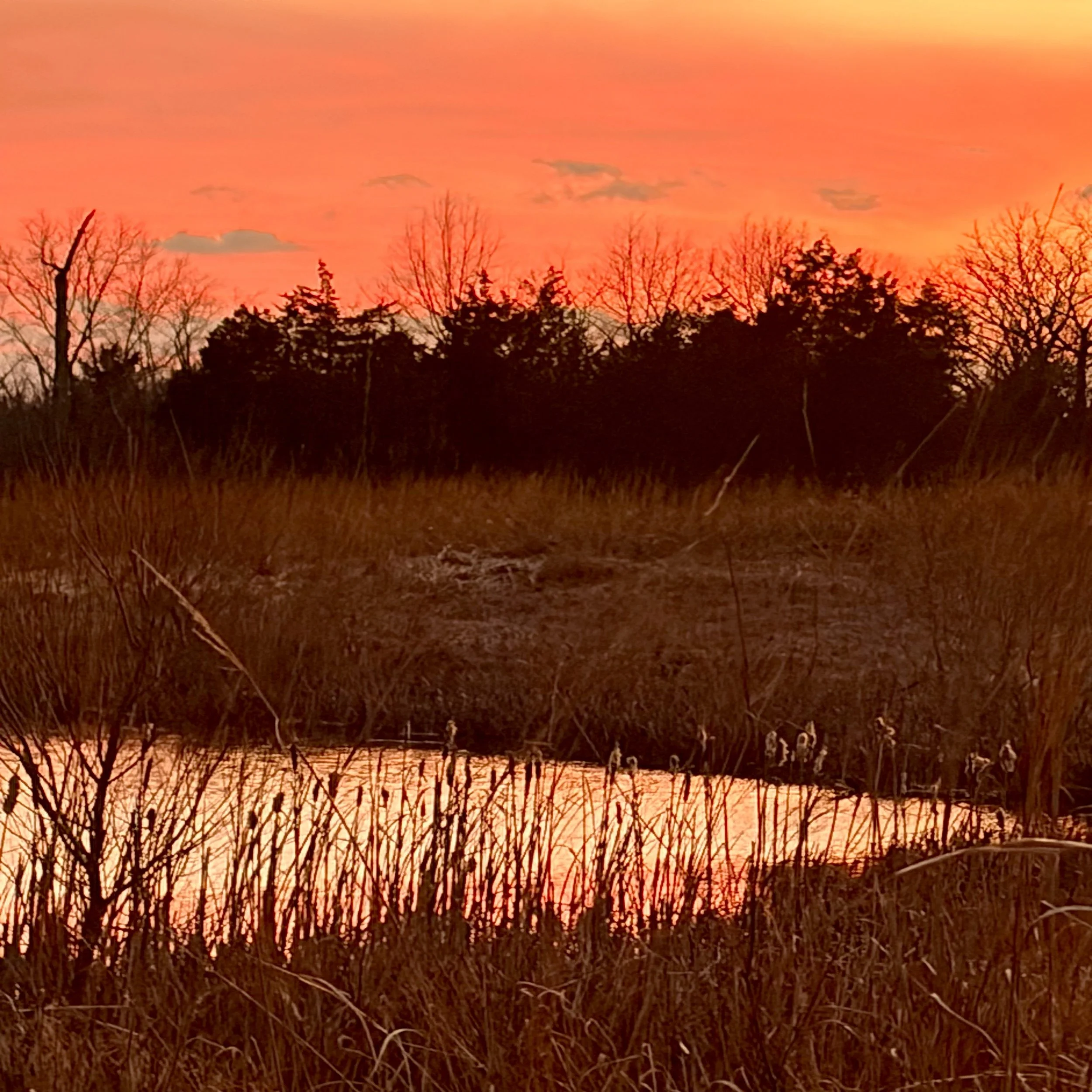 The Third Person of the Trinity