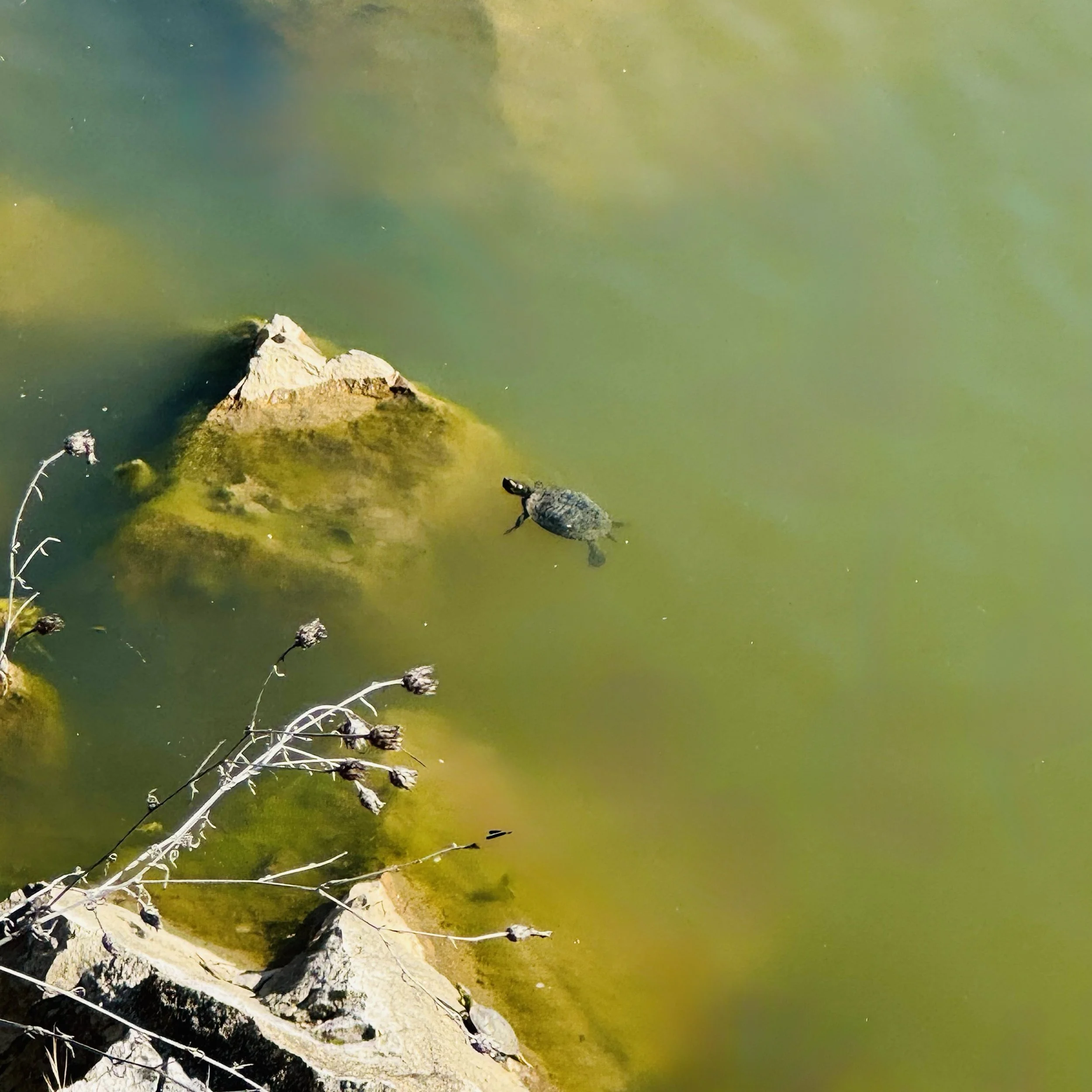 From Glory Days to Days of Glory