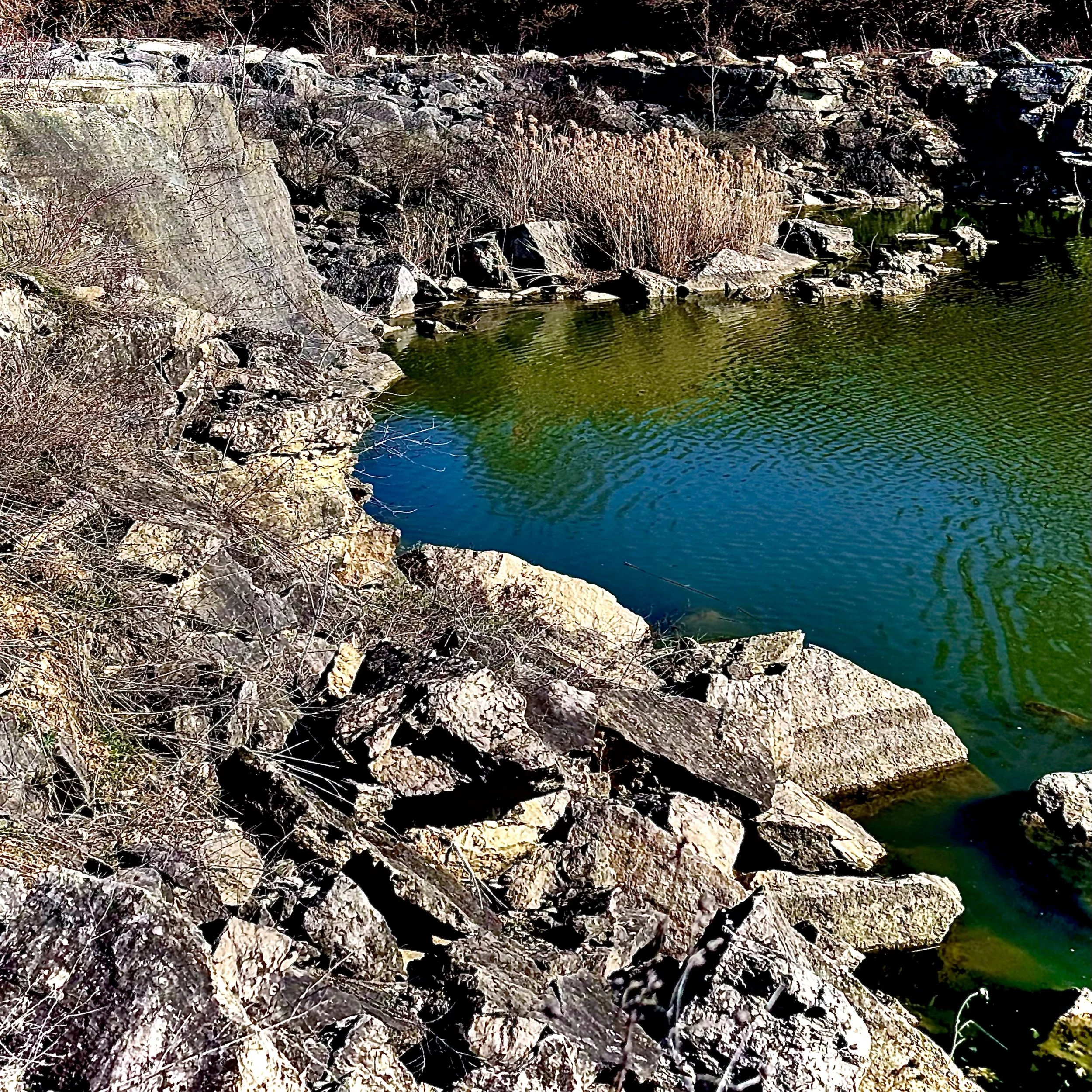 Love Him, Love them, Love Yourself, Already