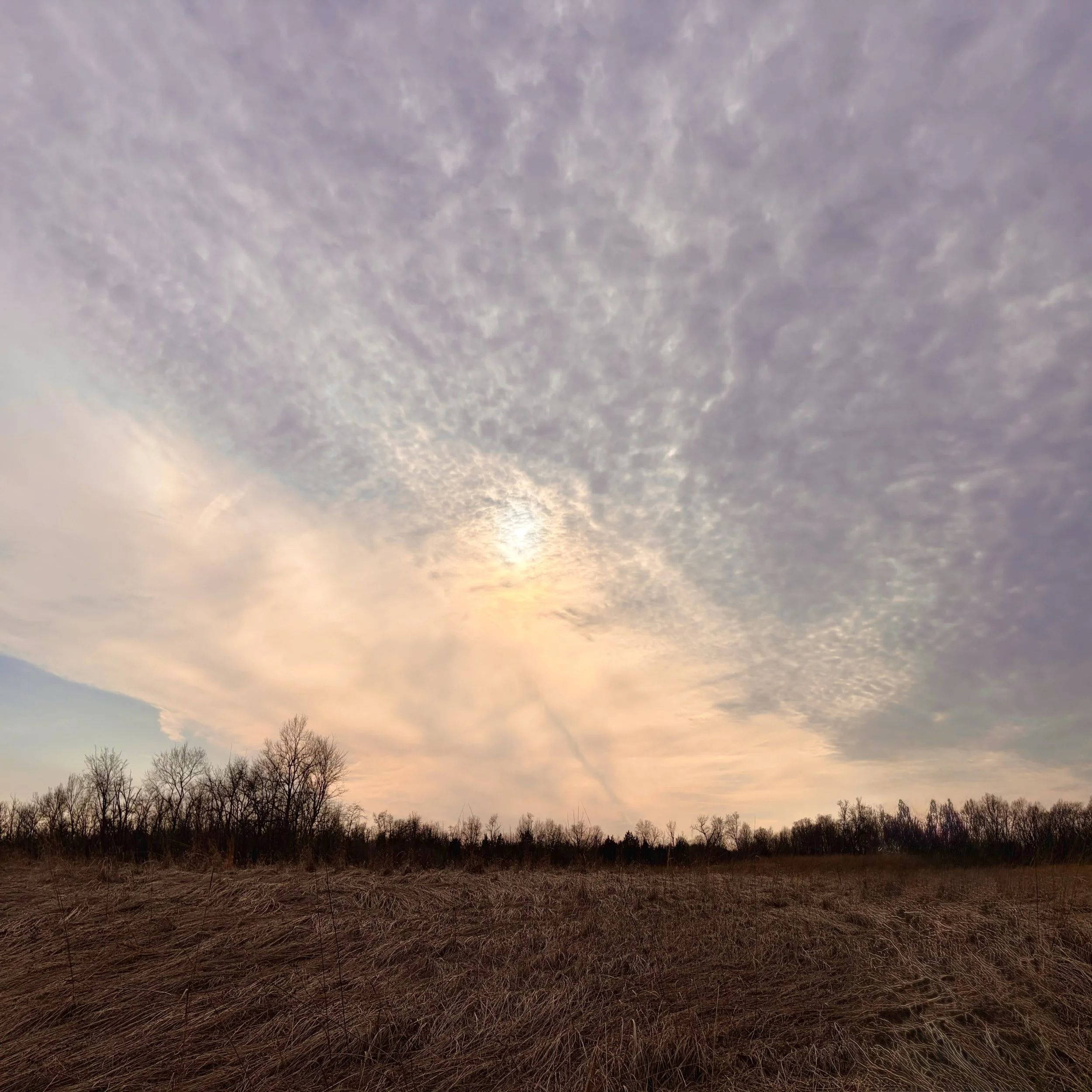 Your guide to Judgement