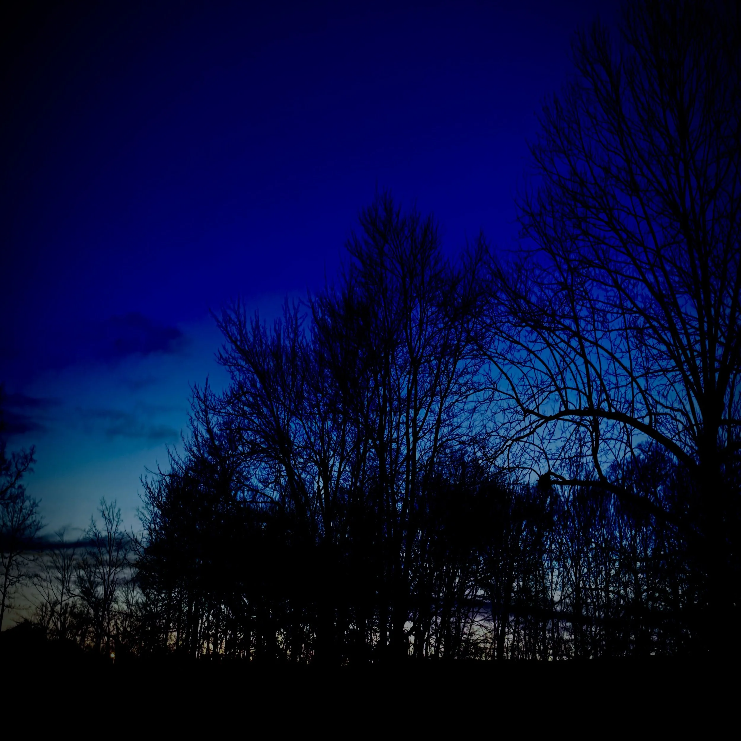 Under cover of Night