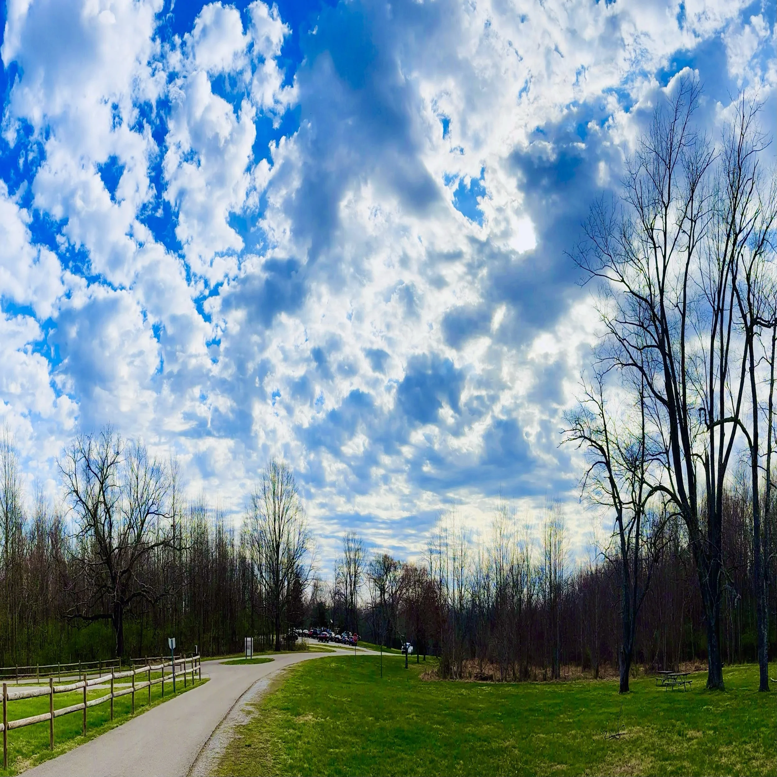 Managing Transitions