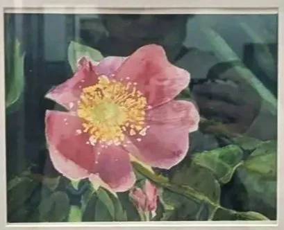 Close-up of a pink flower with yellow center and green leaves in the background.