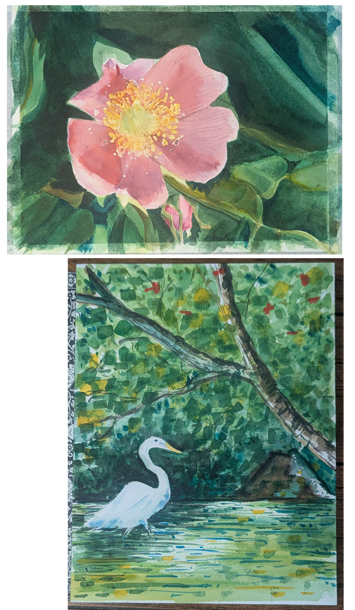 Advanced Watercolor Class Showcase