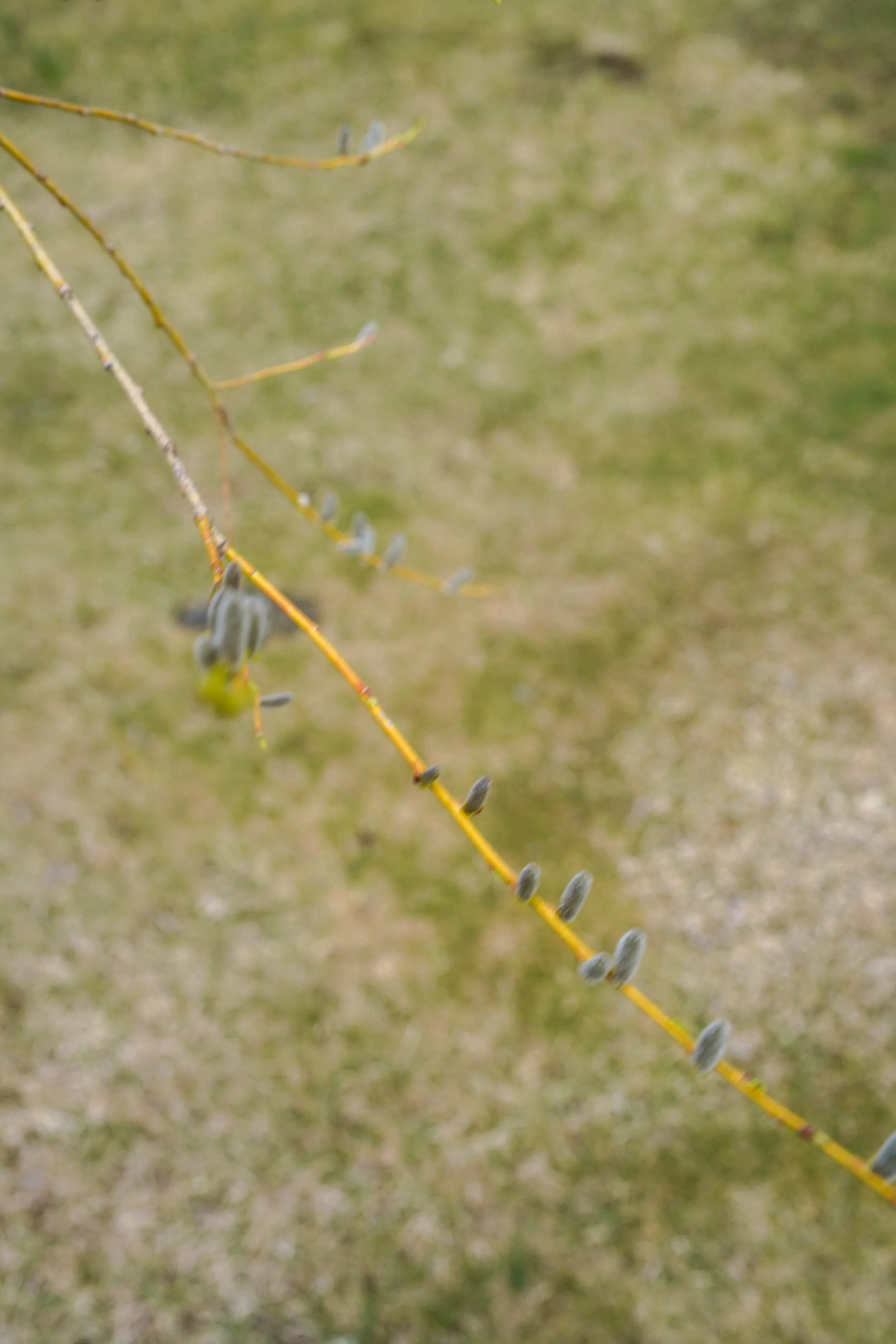 20260411-40.jpg
