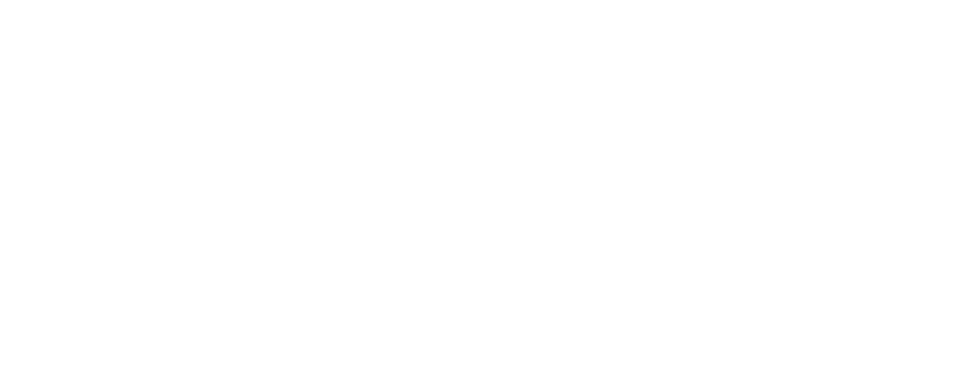 Naysha Gane logo