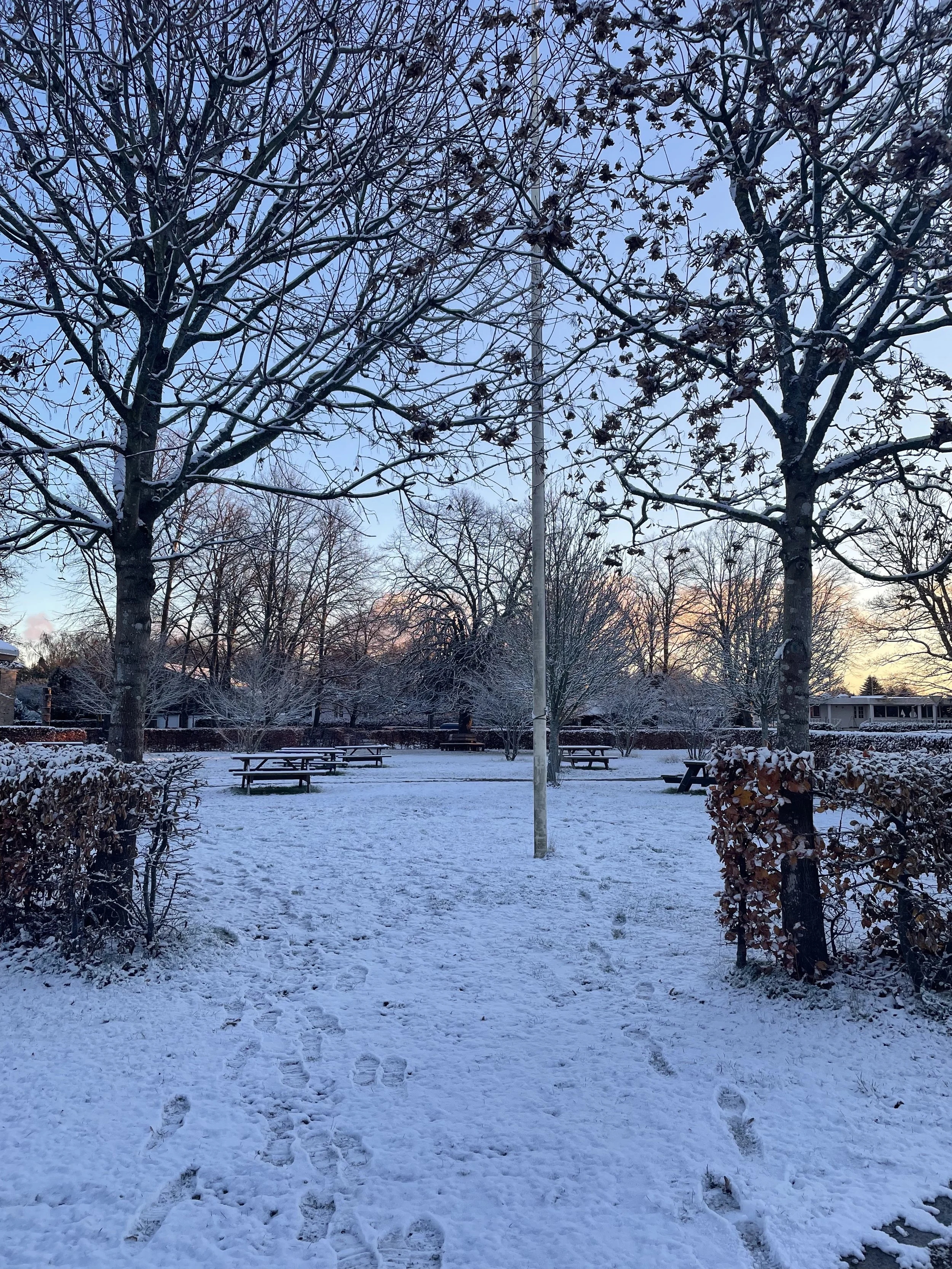 Jule (Winter Solstice) Women's Circle DEC. 20th