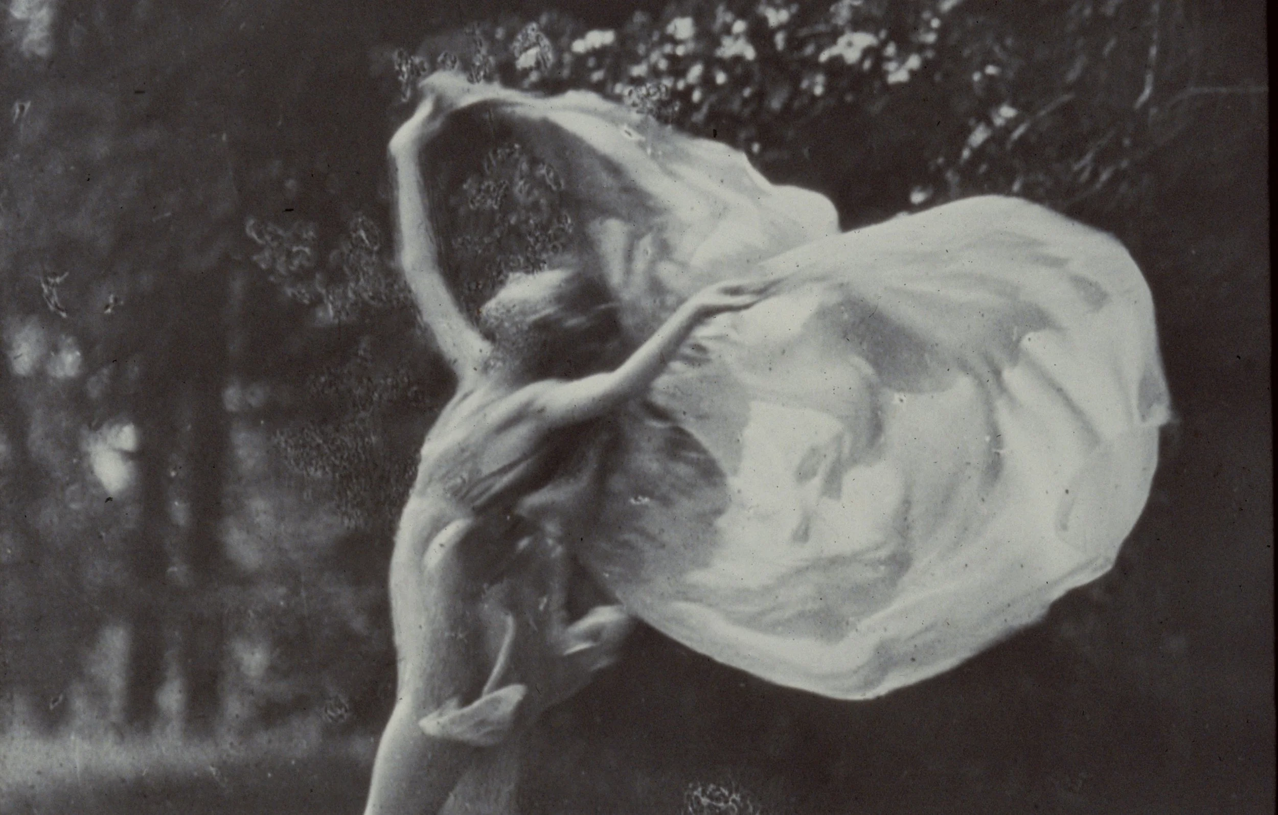 Menstrual Cycle Series