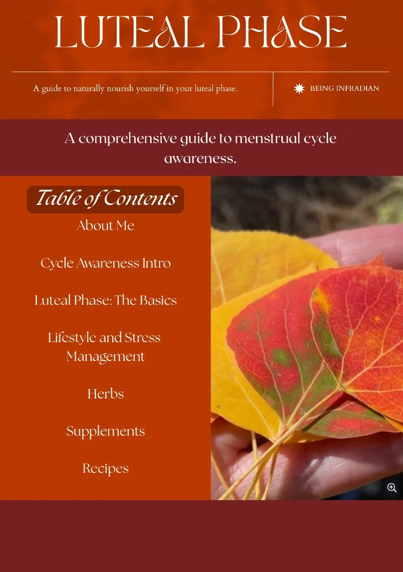 Luteal Phase Guide