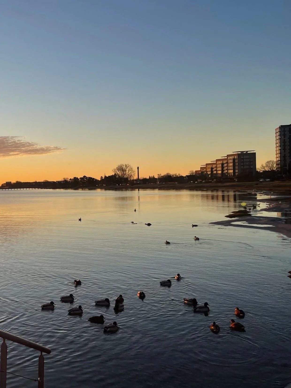 Samhain Women's Circle NOV. 1st