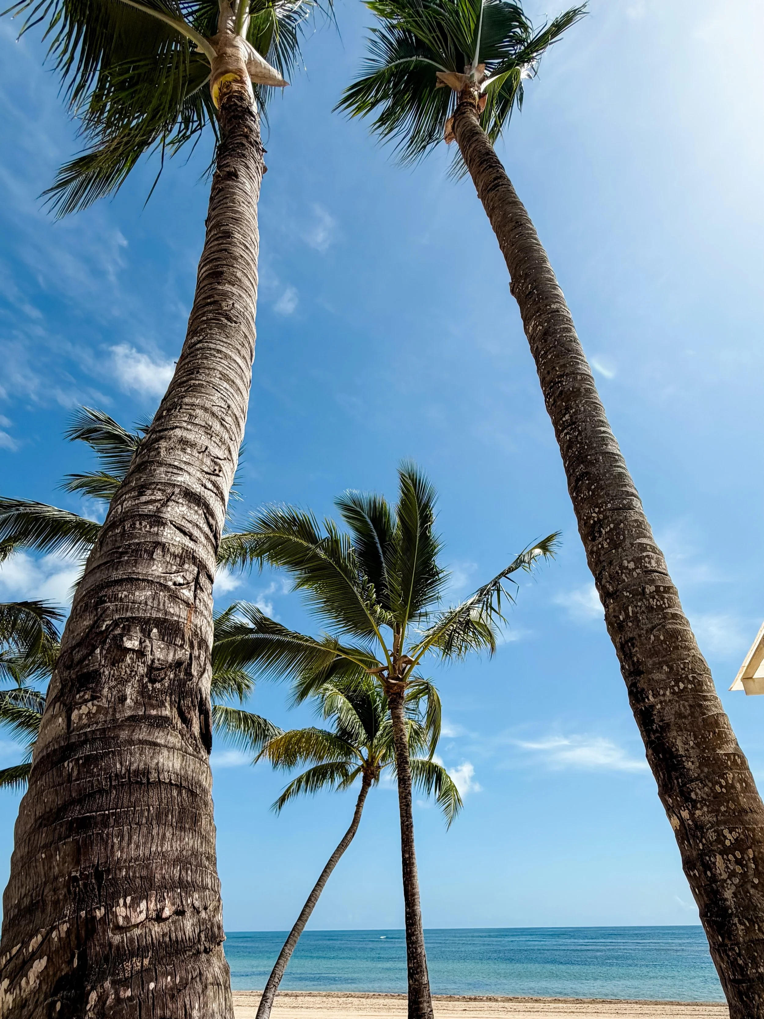 Punta Cana, you are so beautiful. Oh, and so are you @hyatt ! 😆

The last few days have been full of information, education, hands-on experience. I wouldn&rsquo;t have it any other way!

These strips are so important to me because they allow me to e