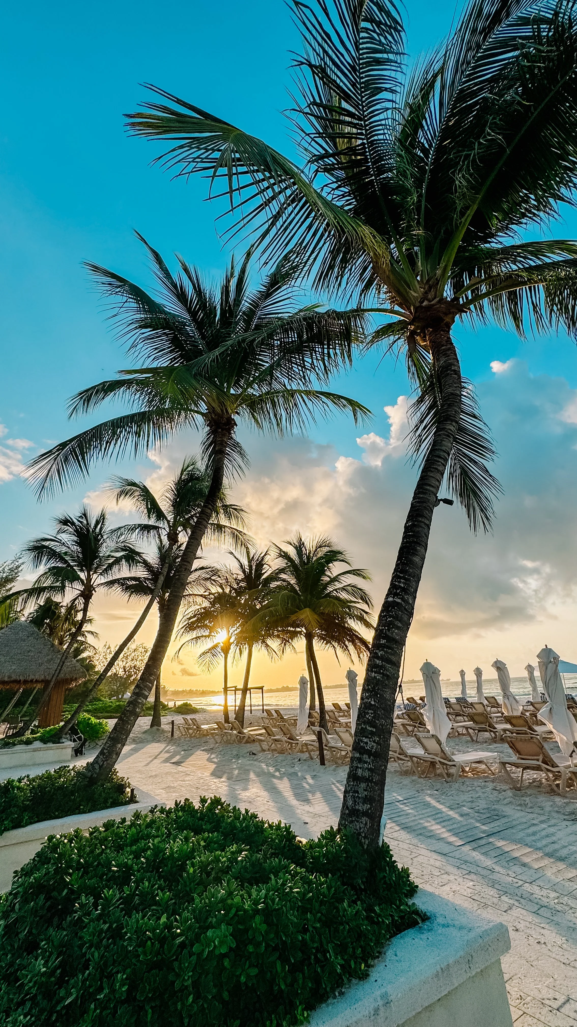Tropical beach scene with palm trees, empty lounge chairs, and umbrellas at sunset or sunrise, with a partly cloudy sky.