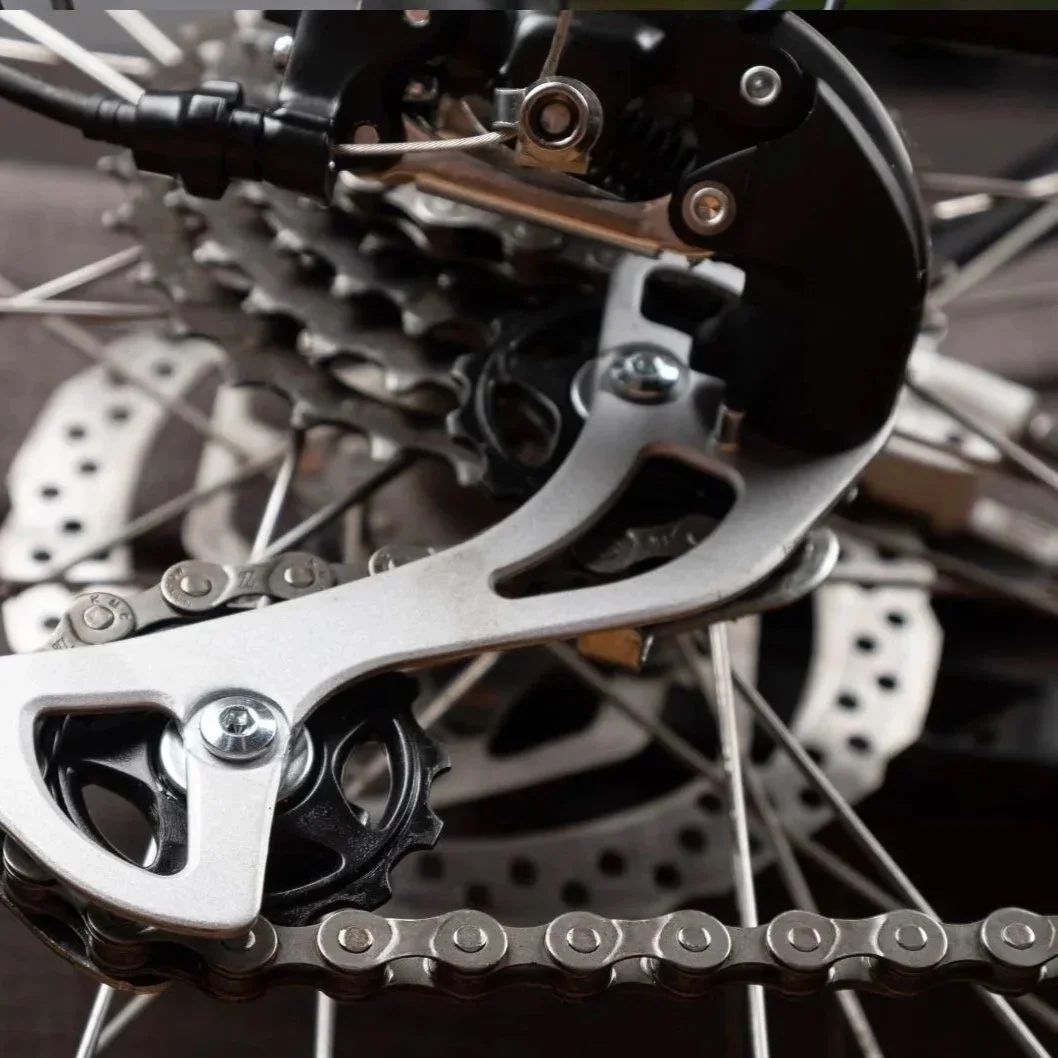 Close-up of a bicycle's gear and derailleur system, showing chains, cassette, and derailleur components.