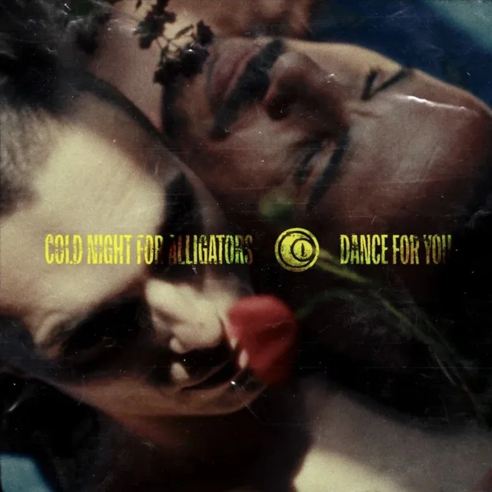 Cold Night For Alligators