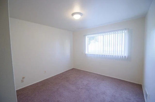 Empty room with beige carpet, white walls, a large window with vertical blinds, and a ceiling light fixture.