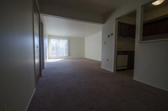 Empty living room with carpet flooring, large window with sheer curtains, and a view into a kitchen area.