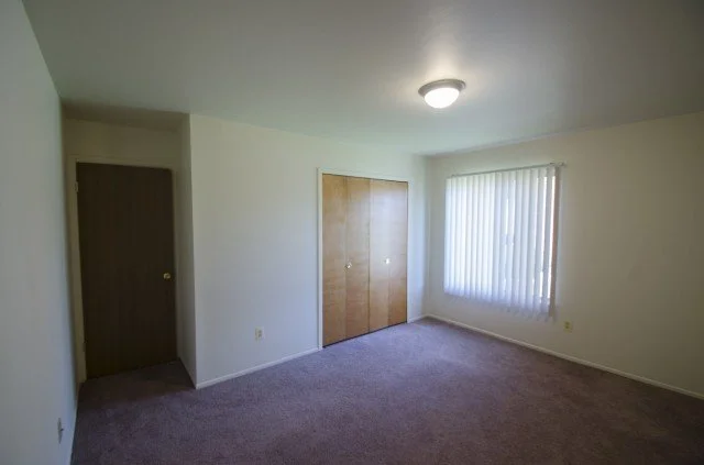 Empty living room with beige carpet, white walls, closed wooden closet doors, a window with vertical blinds, and a ceiling light fixture.