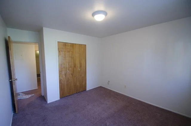 Empty room with white walls, brown carpet, a ceiling light, and a closed wooden closet door.