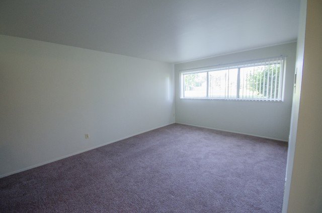 Empty room with beige carpet and white walls, large window with vertical blinds, sunny outside.