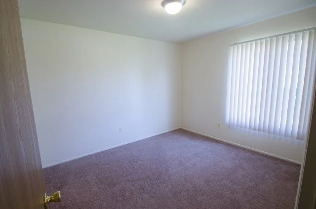 Empty room with beige carpet, white walls, a window with vertical blinds, and a ceiling light