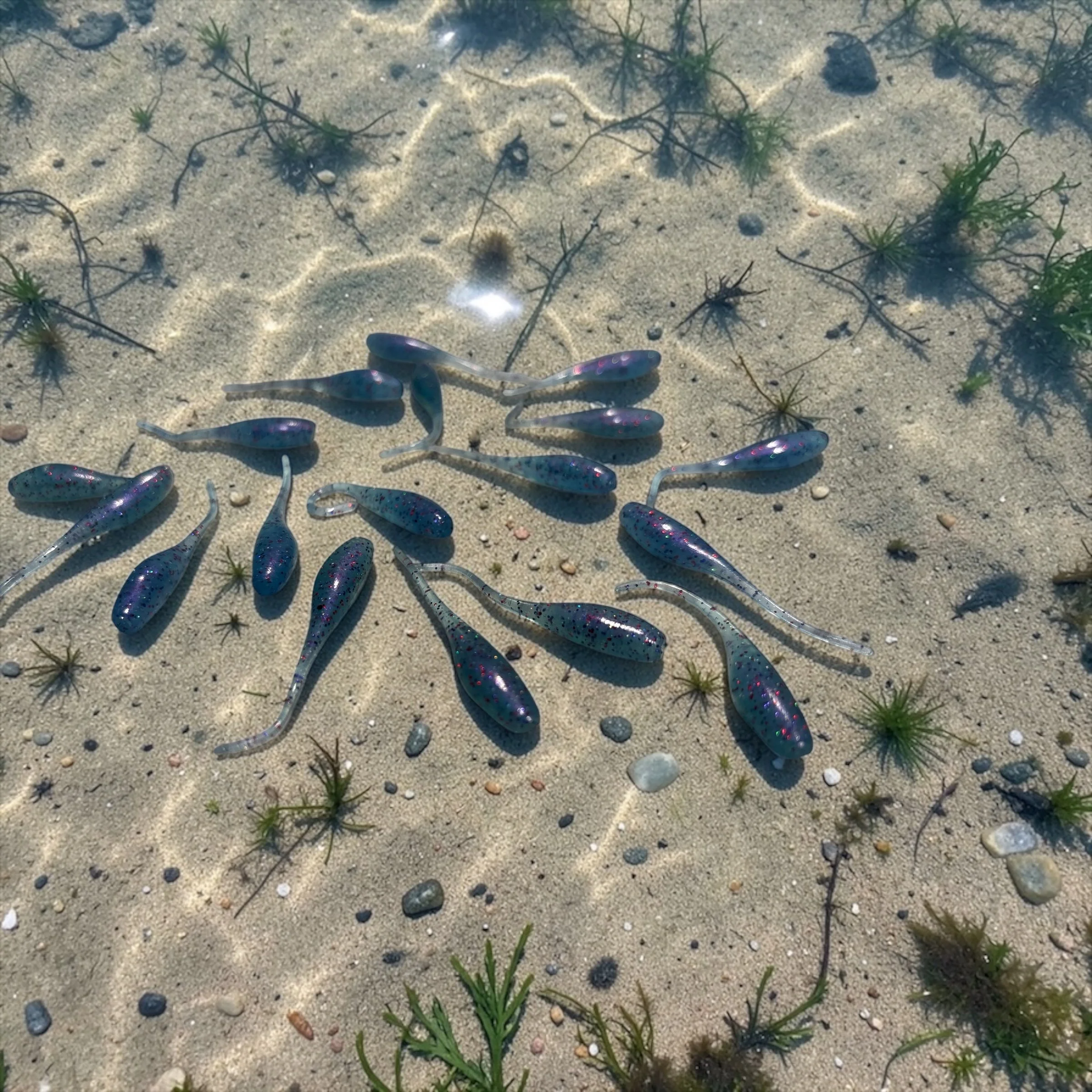 OPJ CRAPPIE Magnets 2