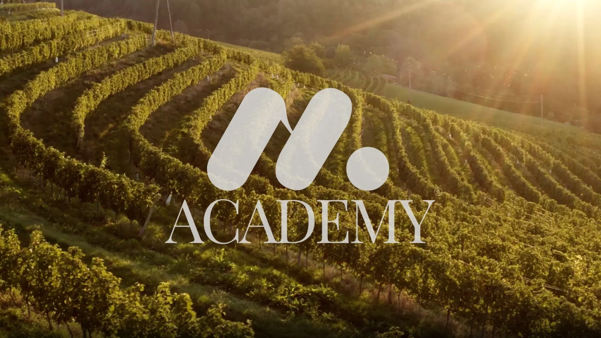 M Academy Logo Image.jpg