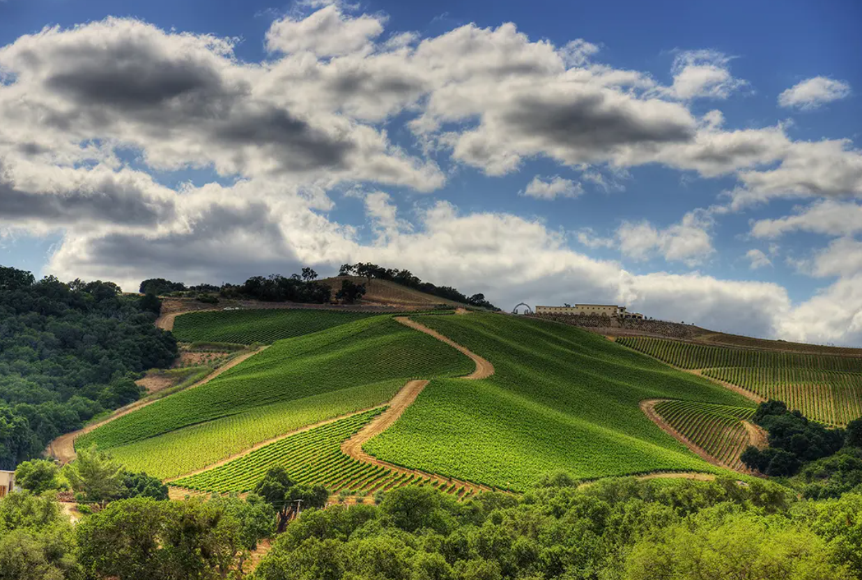Paso Robles Wine Country Community Event: Navigating the Wholesale Channel